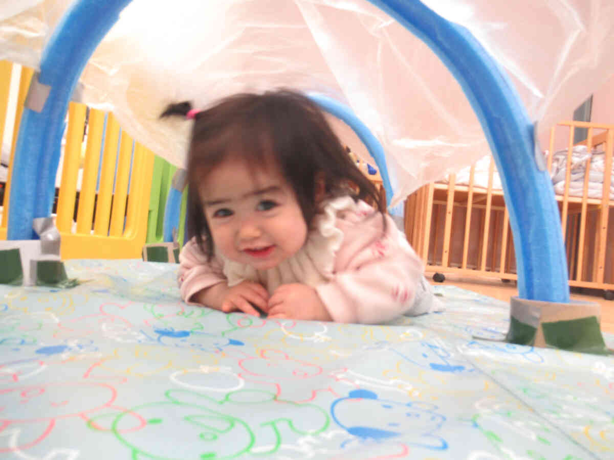 トンネルから「ひょっこり」