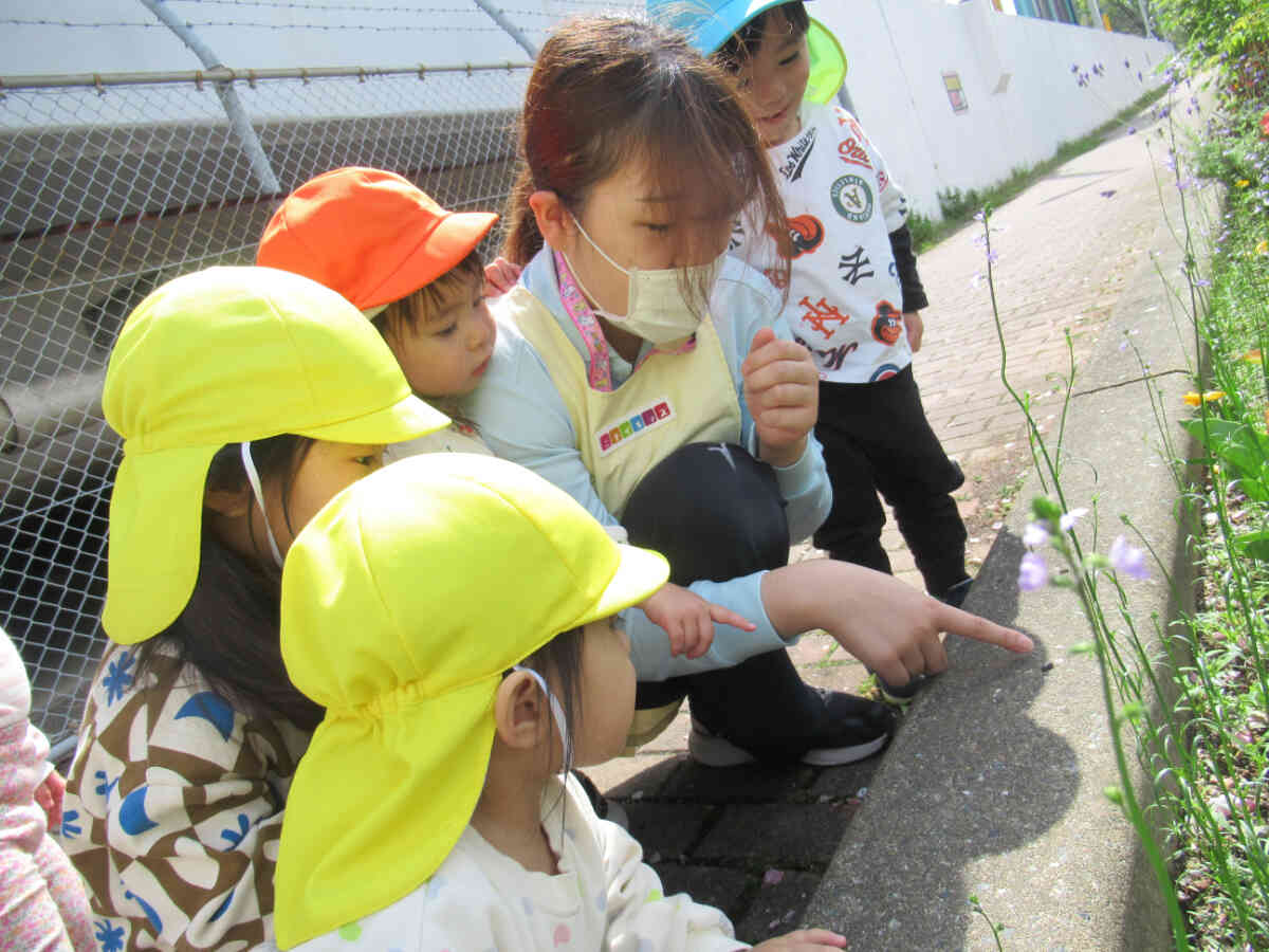 虫さんみーつけた！