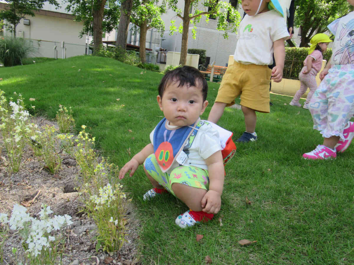 いい香り