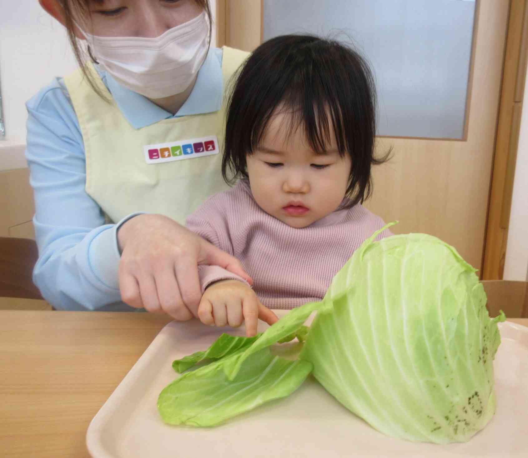 葉っぱをじっくり観察