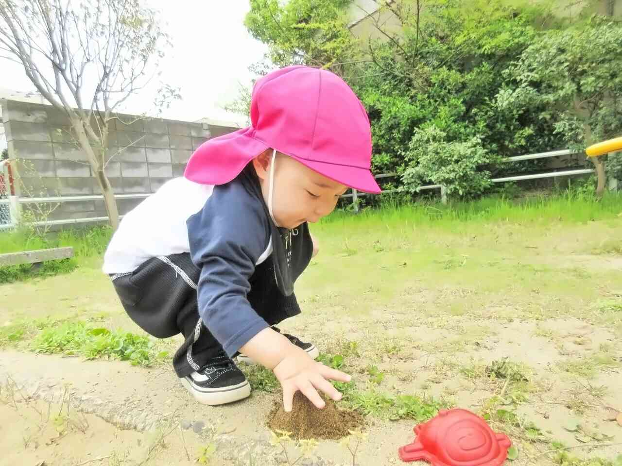 何の形になったかな