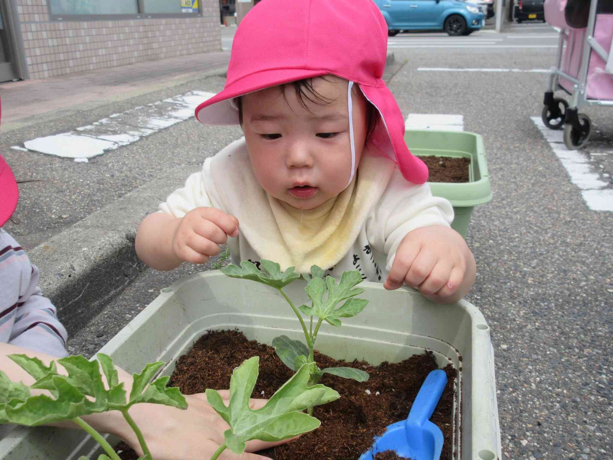 大きくなあれ