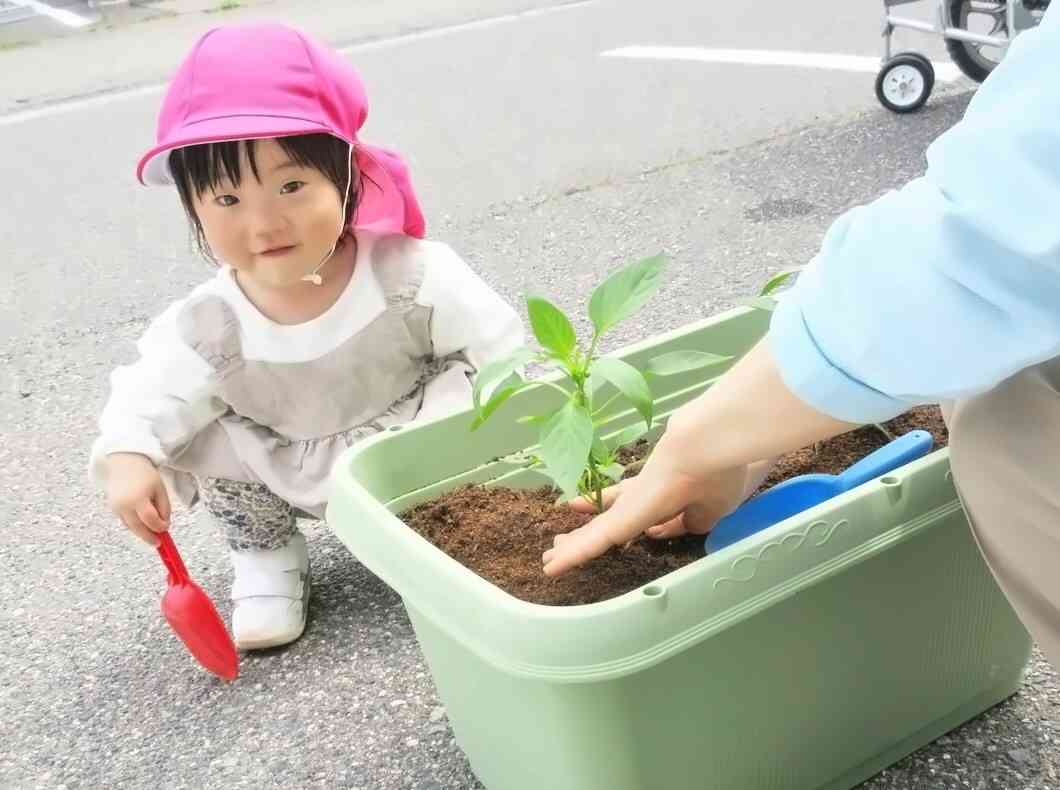 食育～野菜の苗植え～