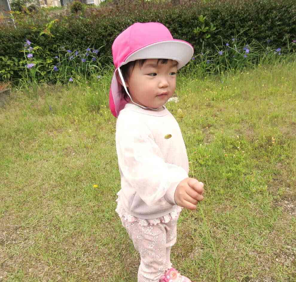 小さな植物学者さん