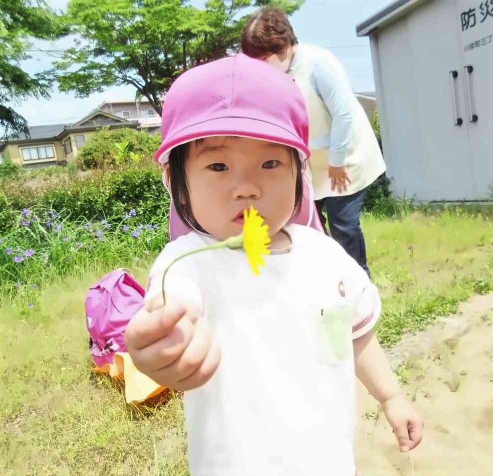 初夏の花咲く公園で