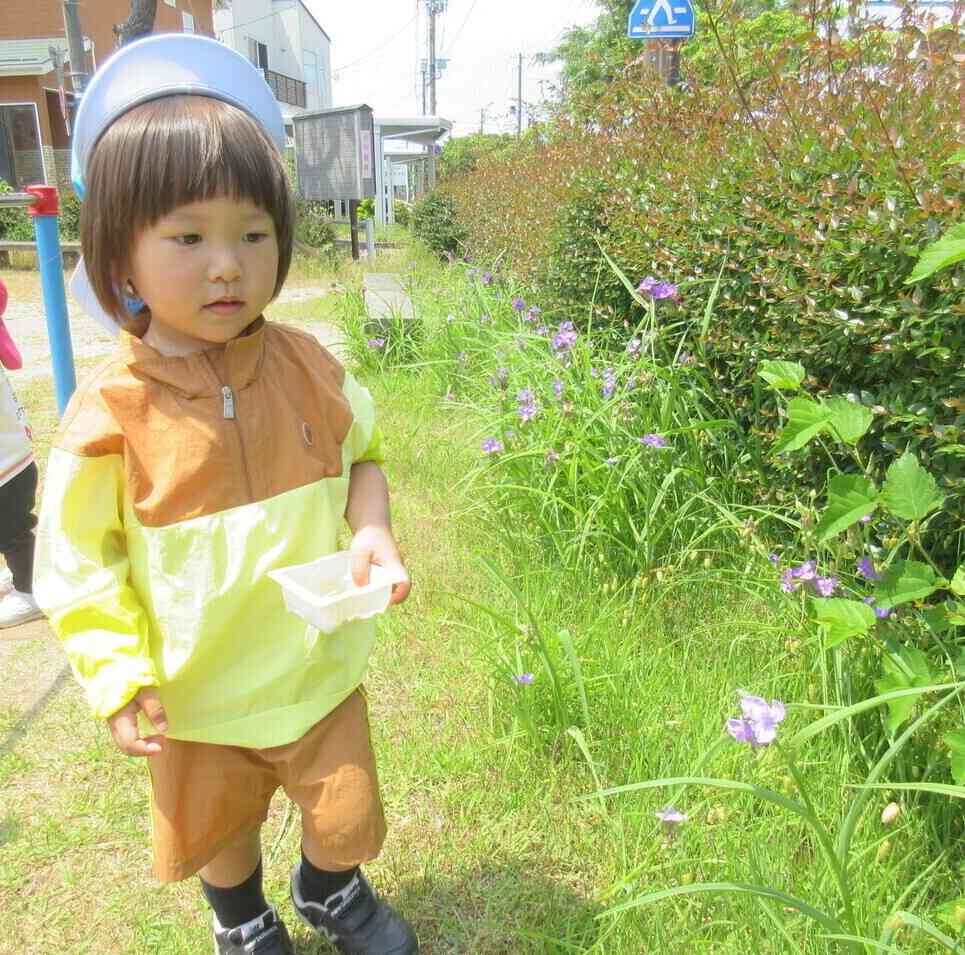 紫色がきれいだね