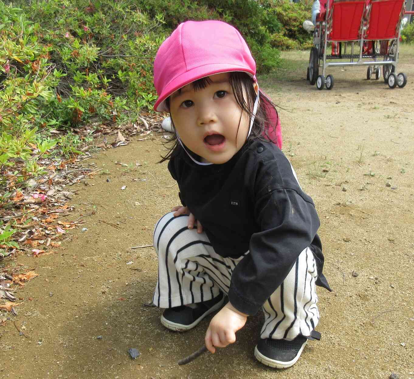 何を見つけたのかな？