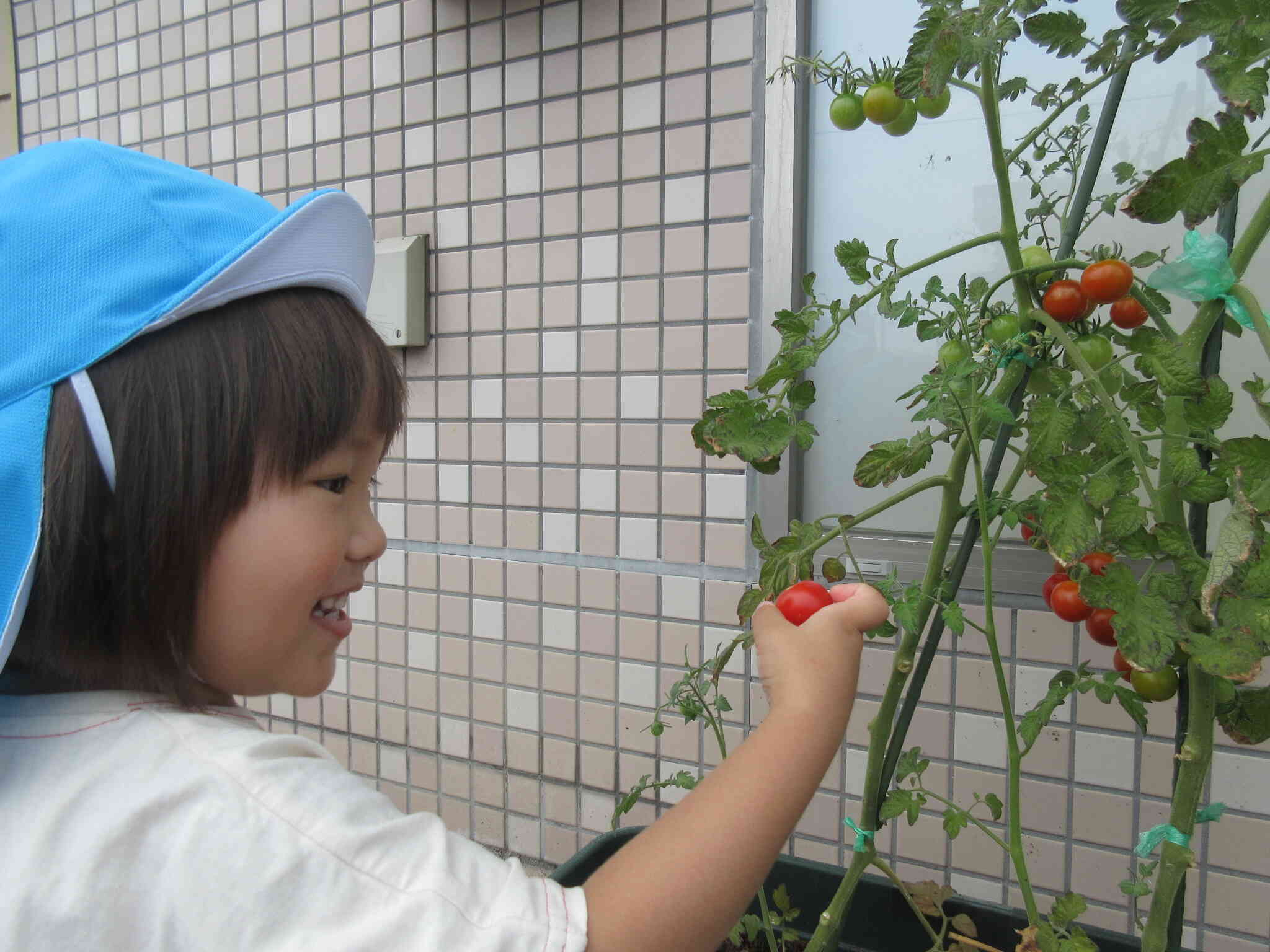 プチっともぐのが楽しいね