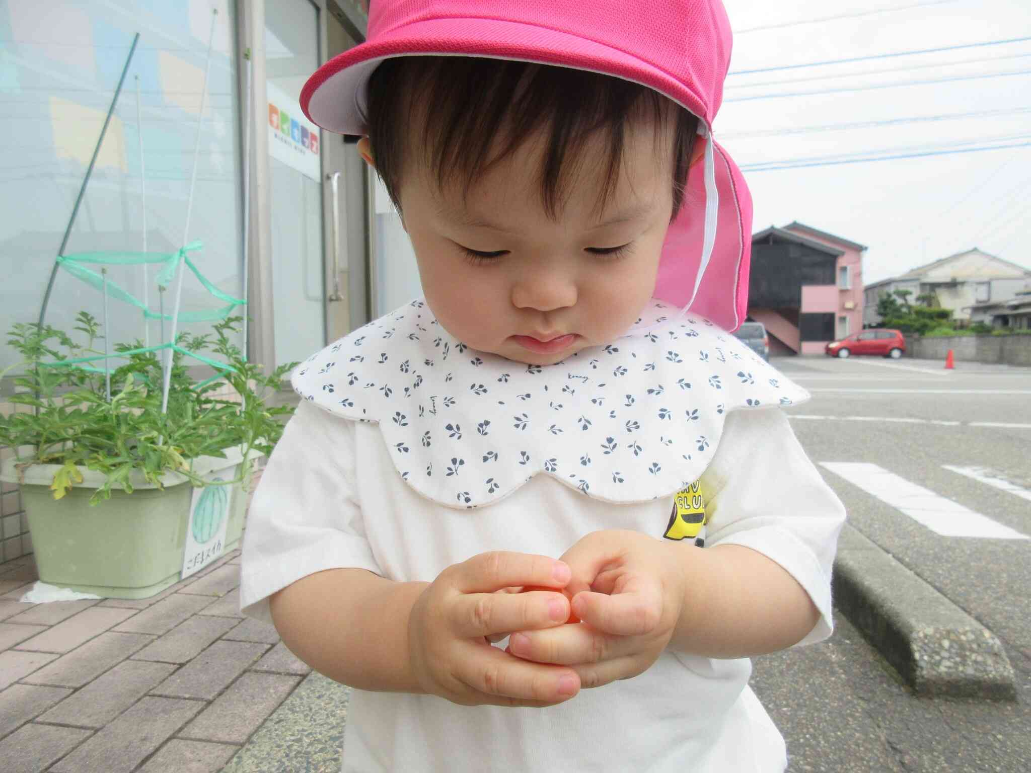 赤いトマトかわいいね