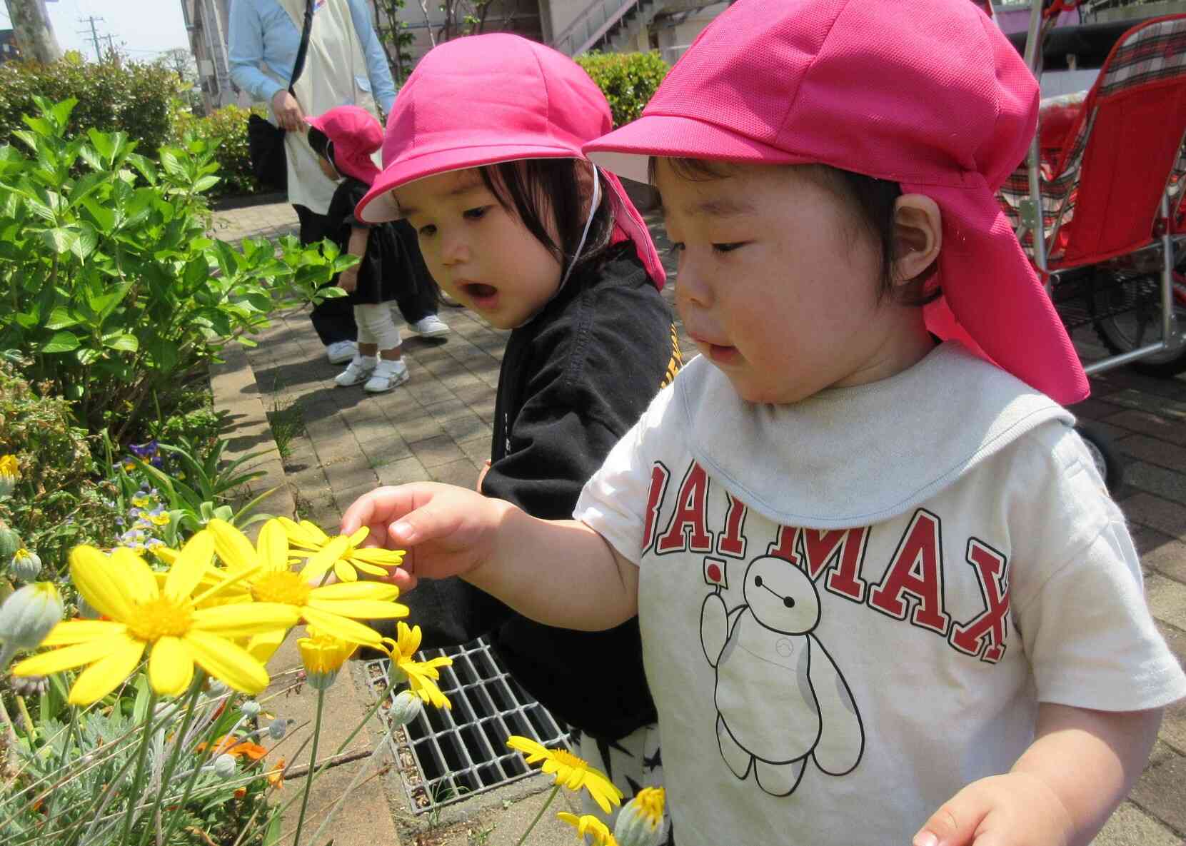 メイン活動　お散歩では近隣の公園などへ出かけます