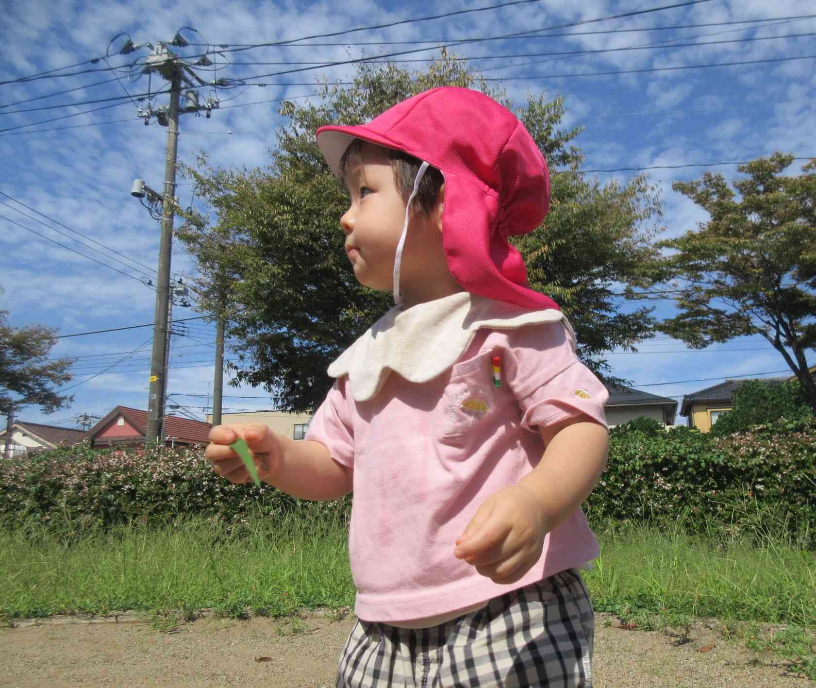 一日の様子をご紹介