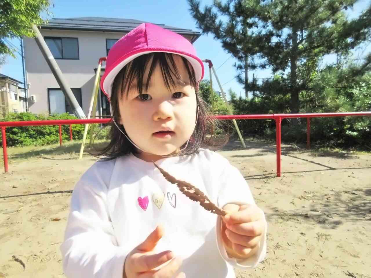 公園で拾ったよ！