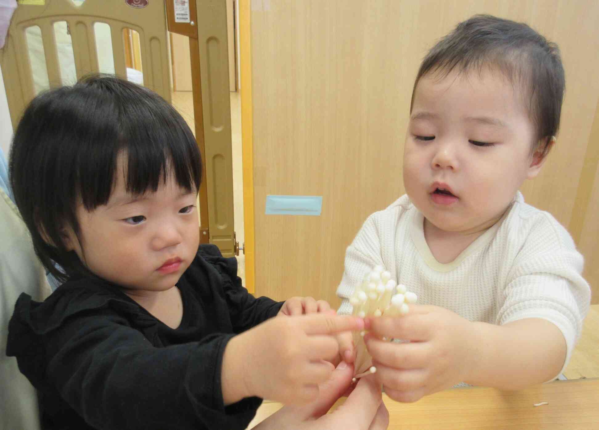食育の日～いろいろなきのこを割いてみよう