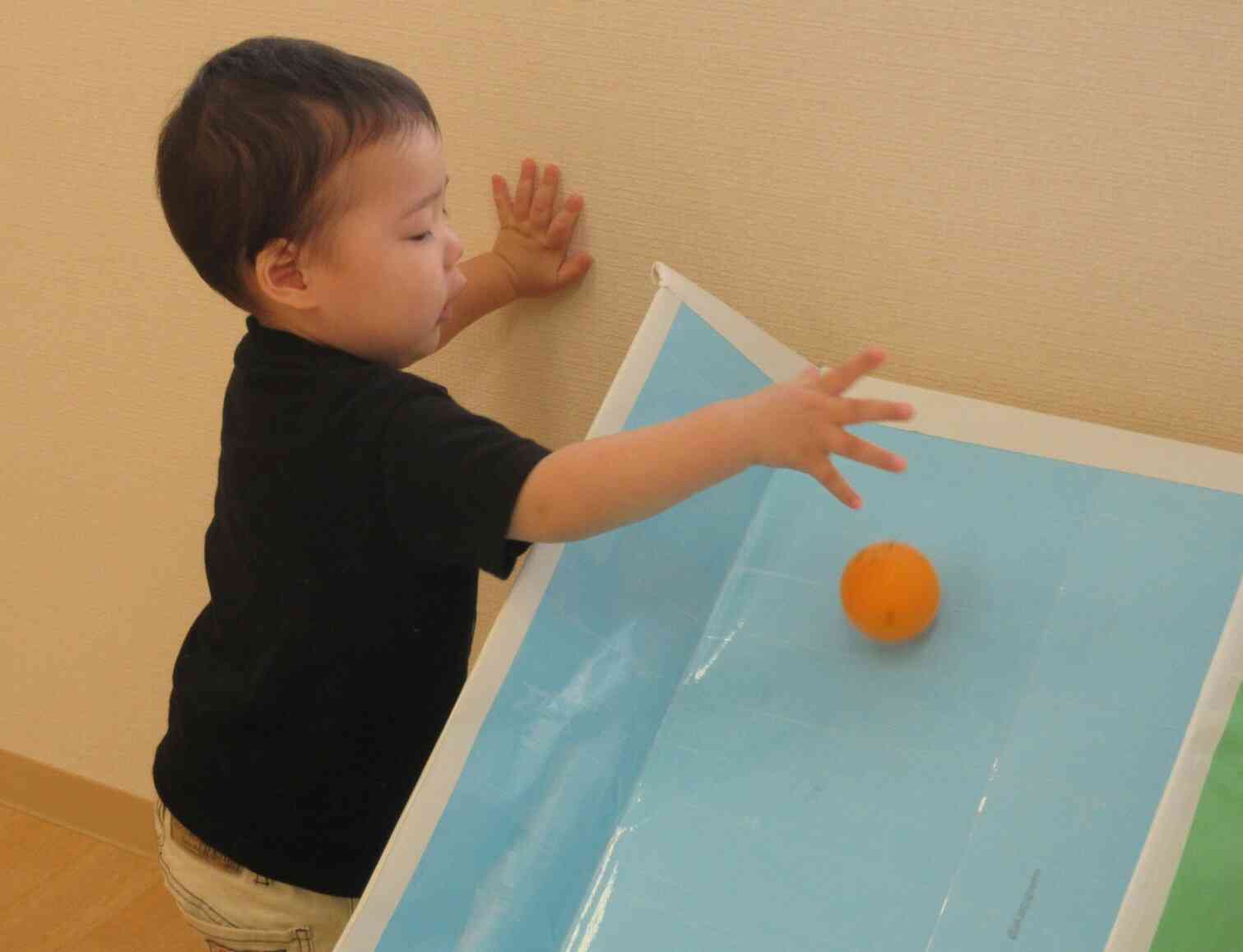 ボールも、野菜も、お人形もころころ