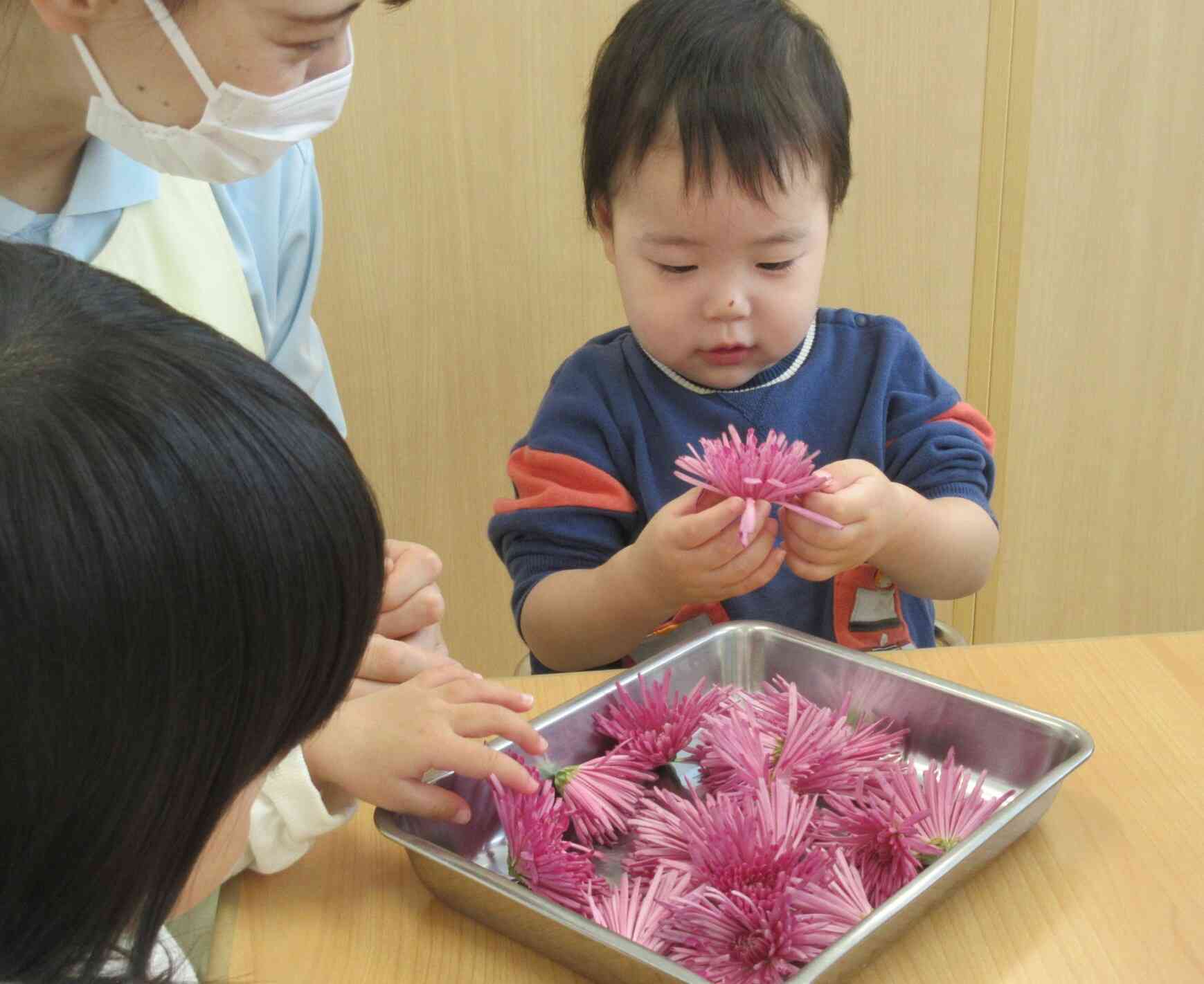 食育の日～かきのもとの花を摘んでみよう～