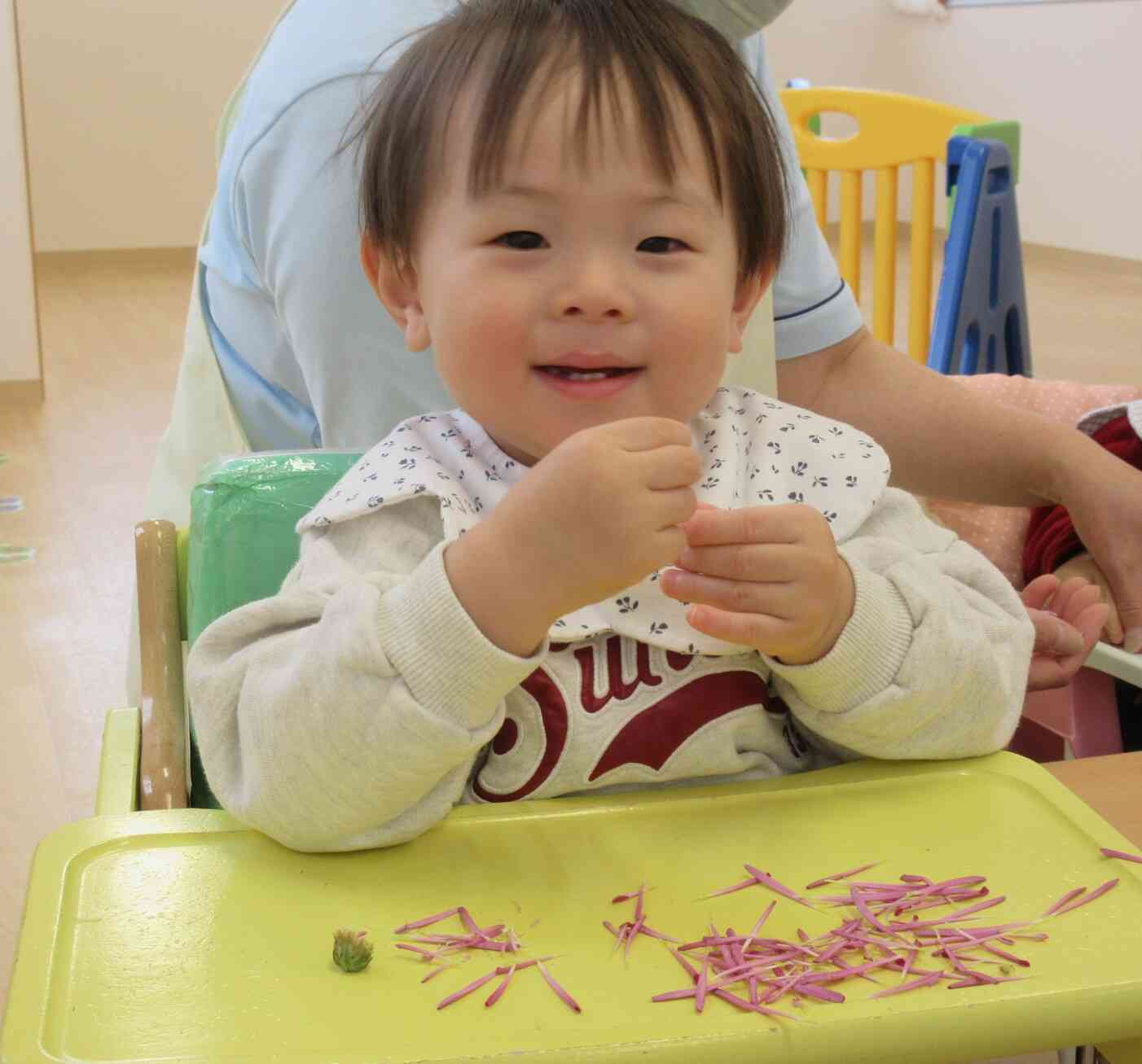 花びら全部もいだよ！