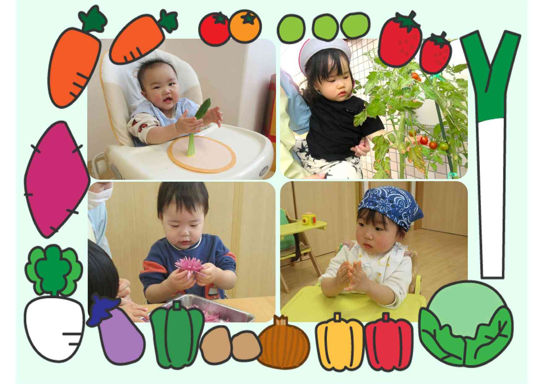 食育で❝食❞の体験がいろいろ広がりました