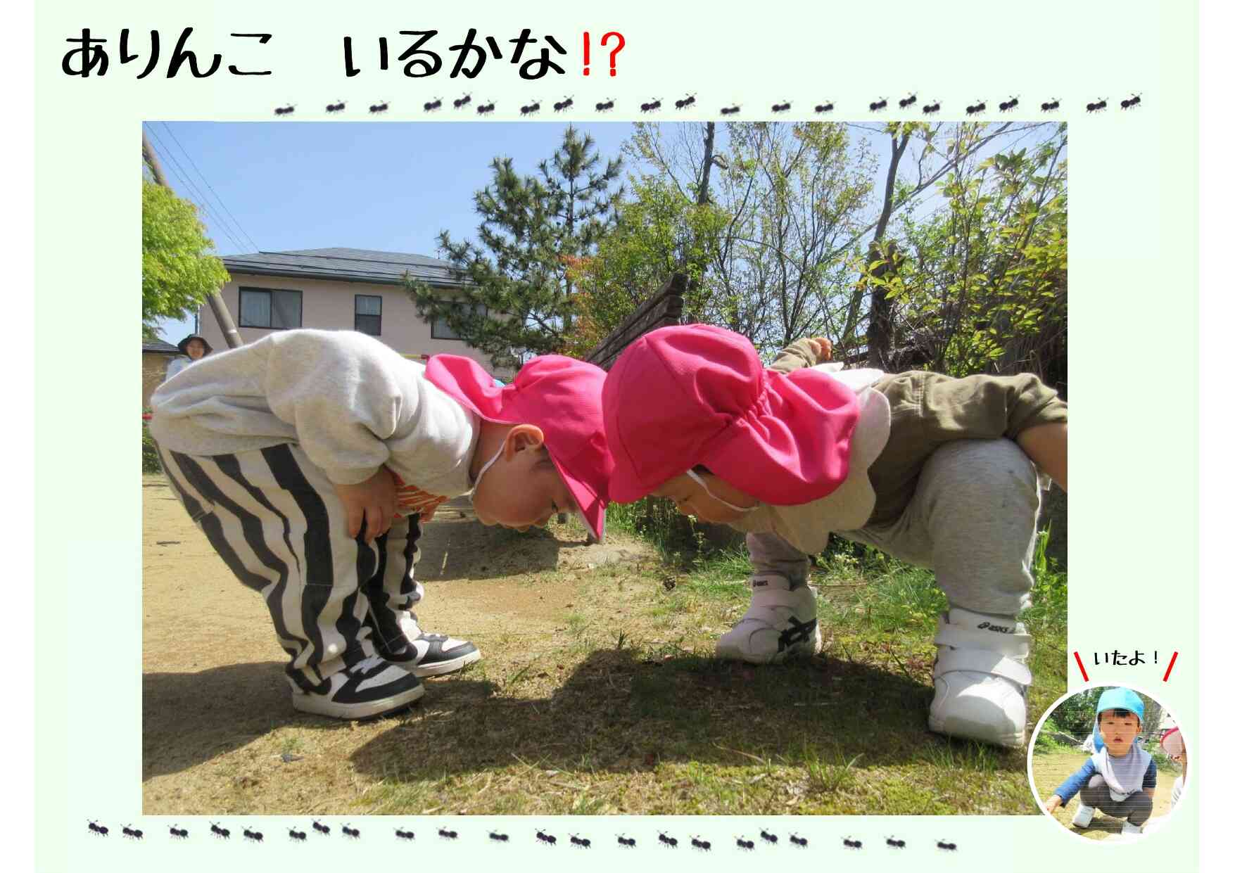 公園で小さなありやダンゴムシを見つけています