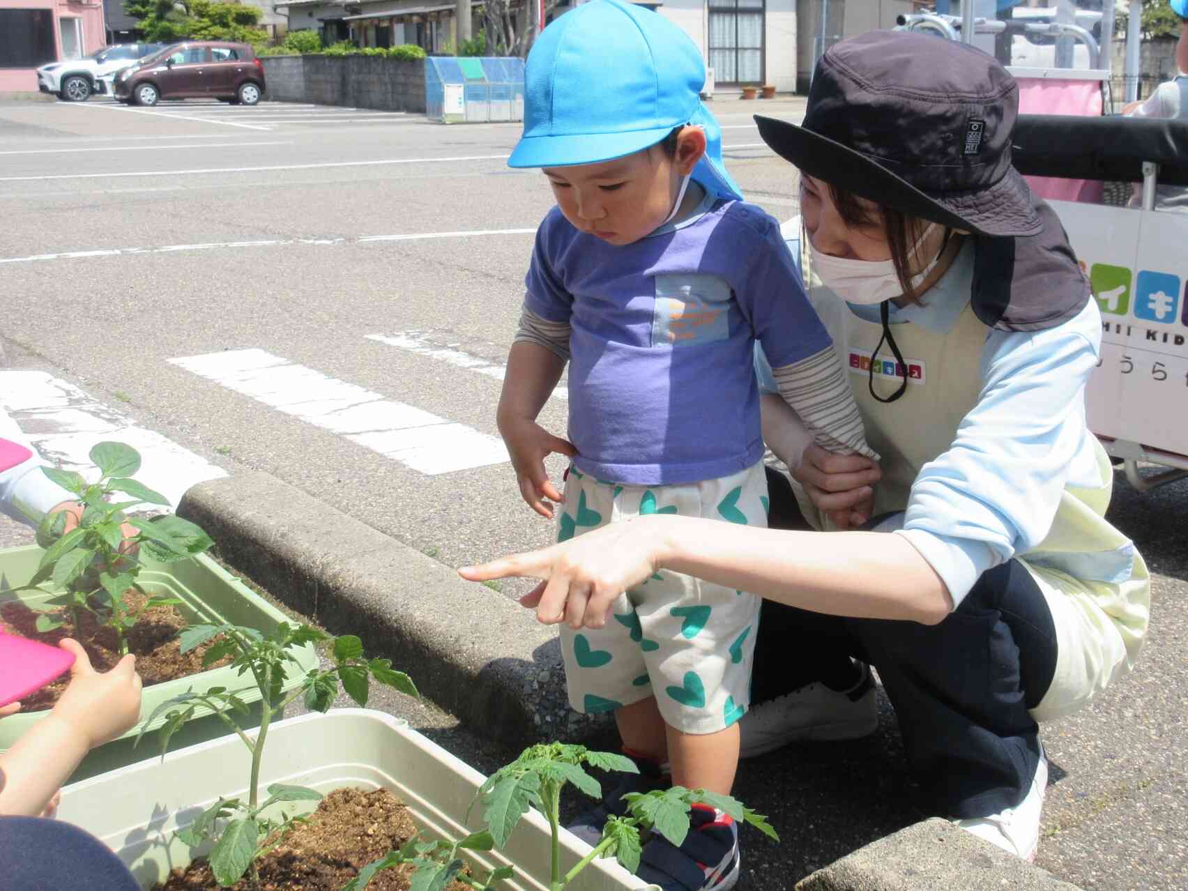 大きくなるかな、楽しみだね！