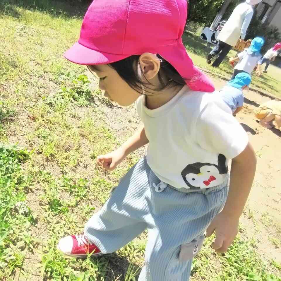 認可保育所との違いとメリット