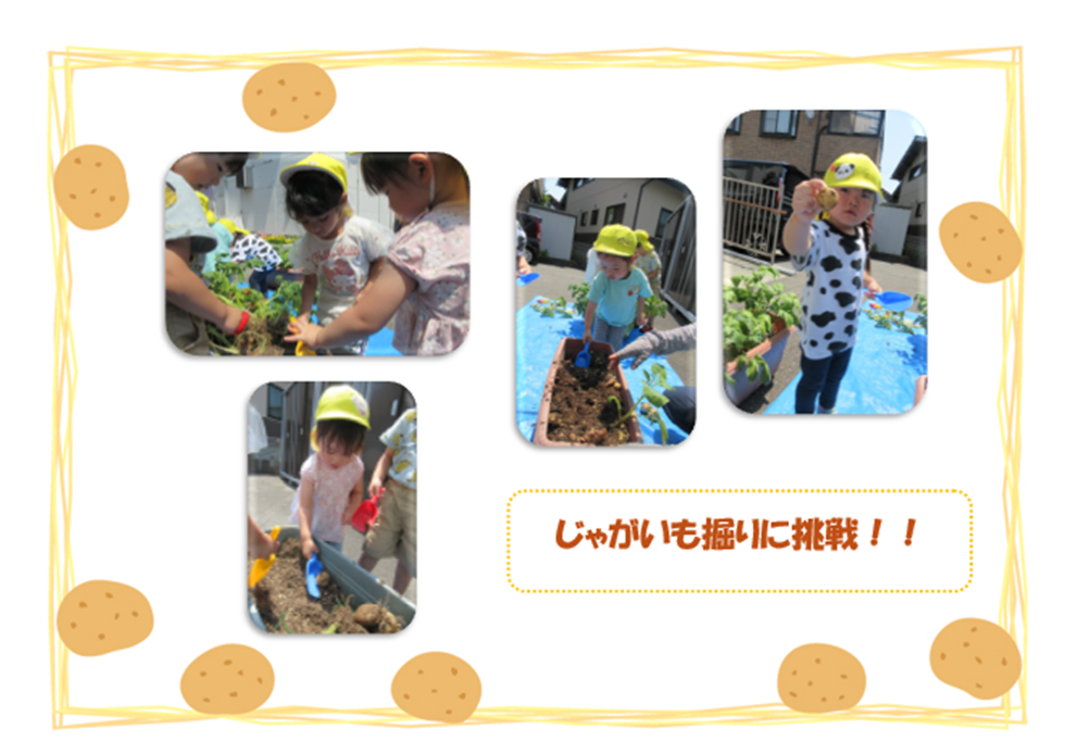 ☆じゃがいも掘り☆