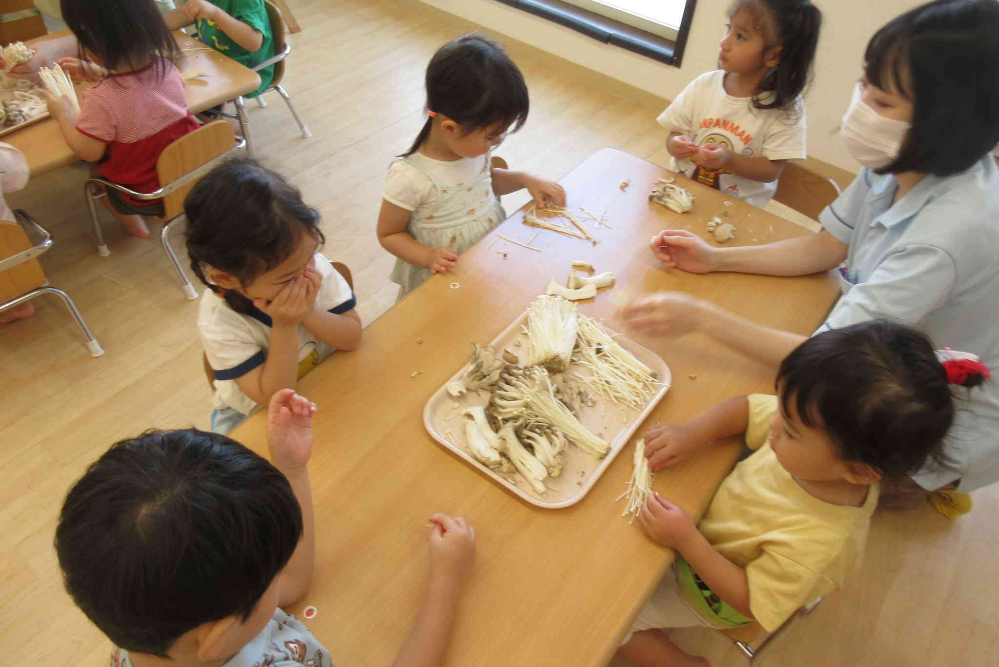 きのこに触ってみたよ！