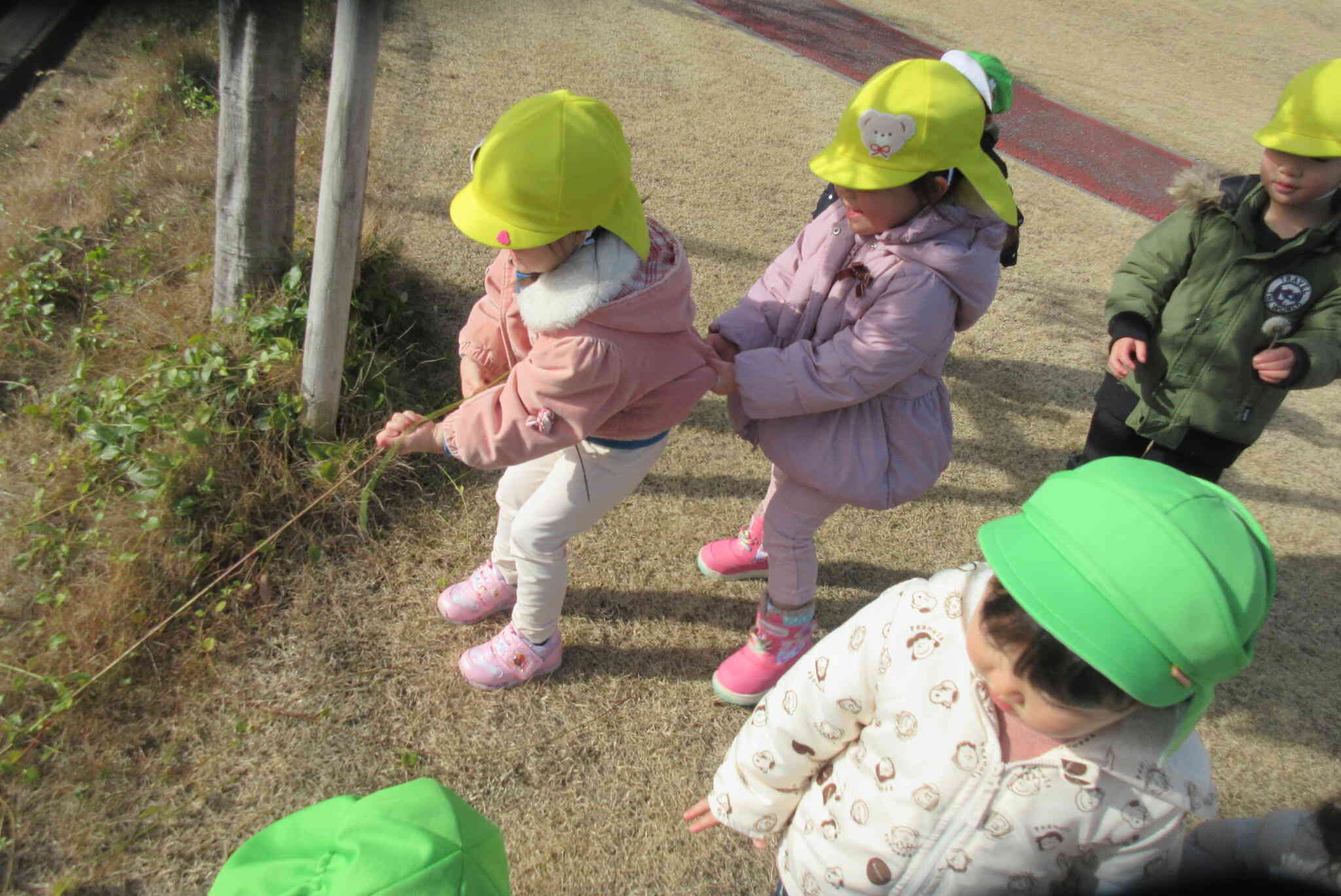 うんとこしょっ！どっこいしょっ！