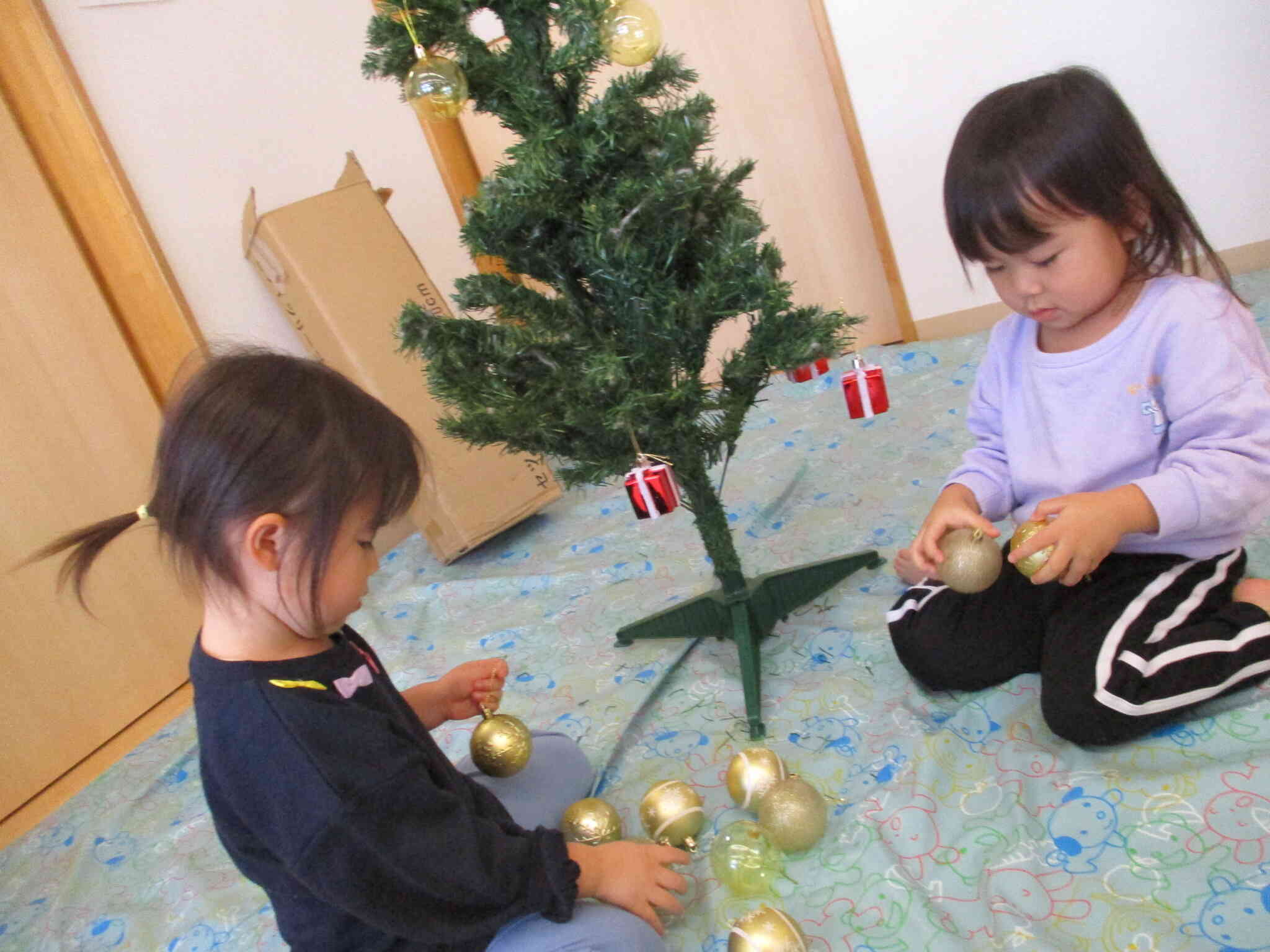 クリスマスツリーの飾りつけ☆　どれにしようかな～？