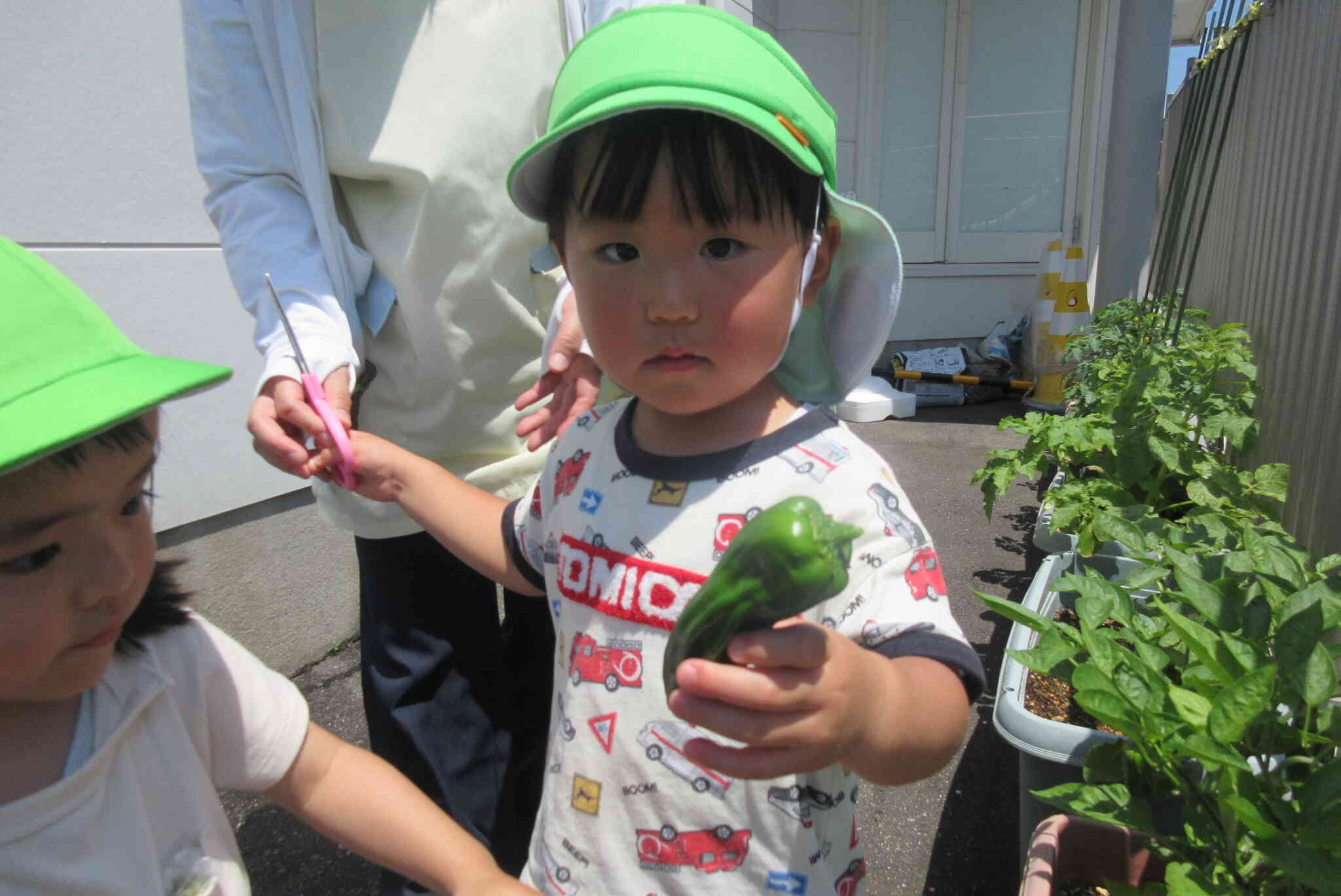 ピーマンがおいしいあれに変身！