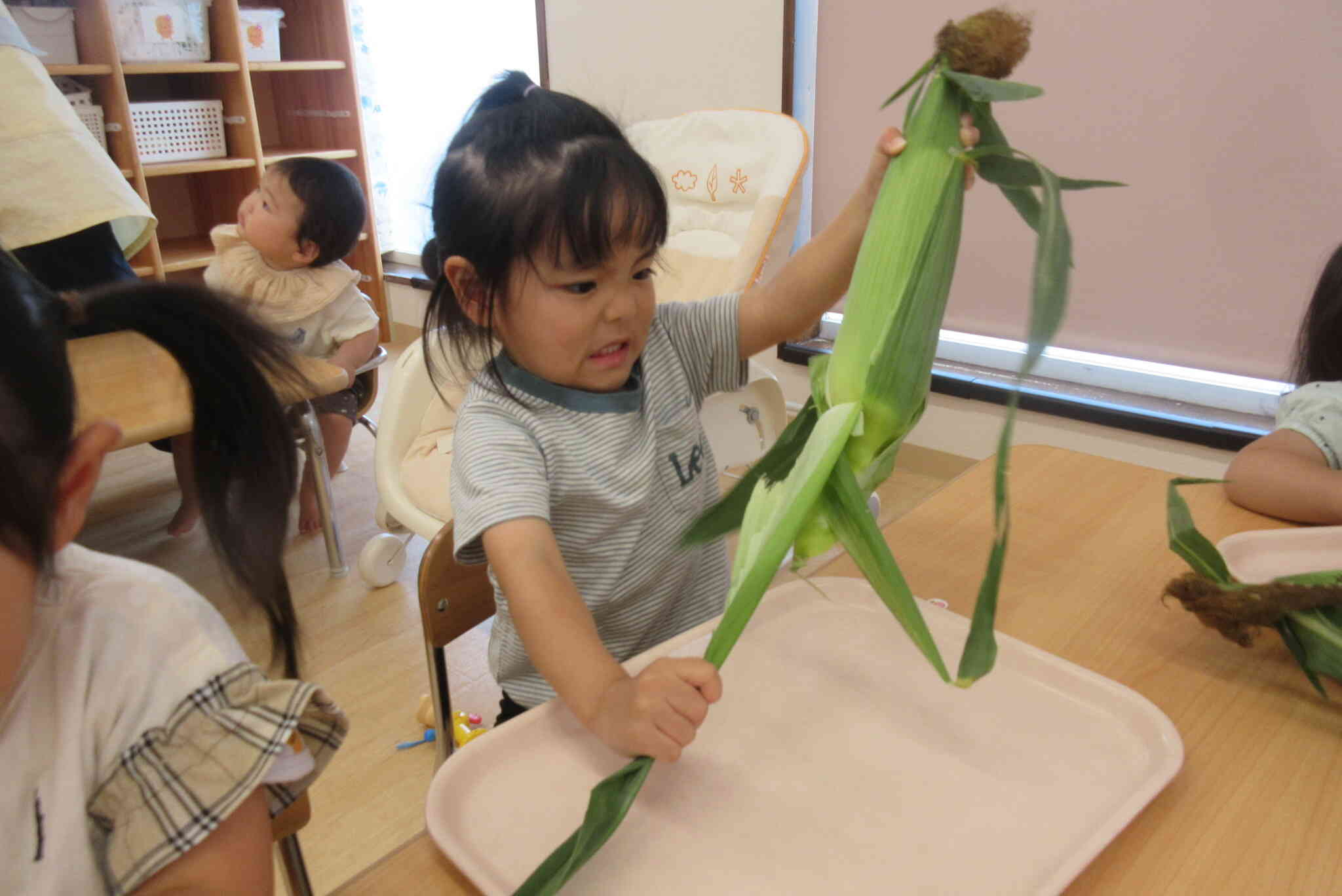 7月食育「とうもろこしの皮むき」