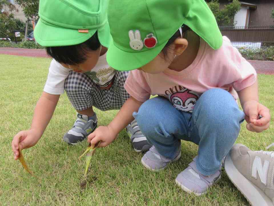 1、2歳児~戸外遊びの様子~