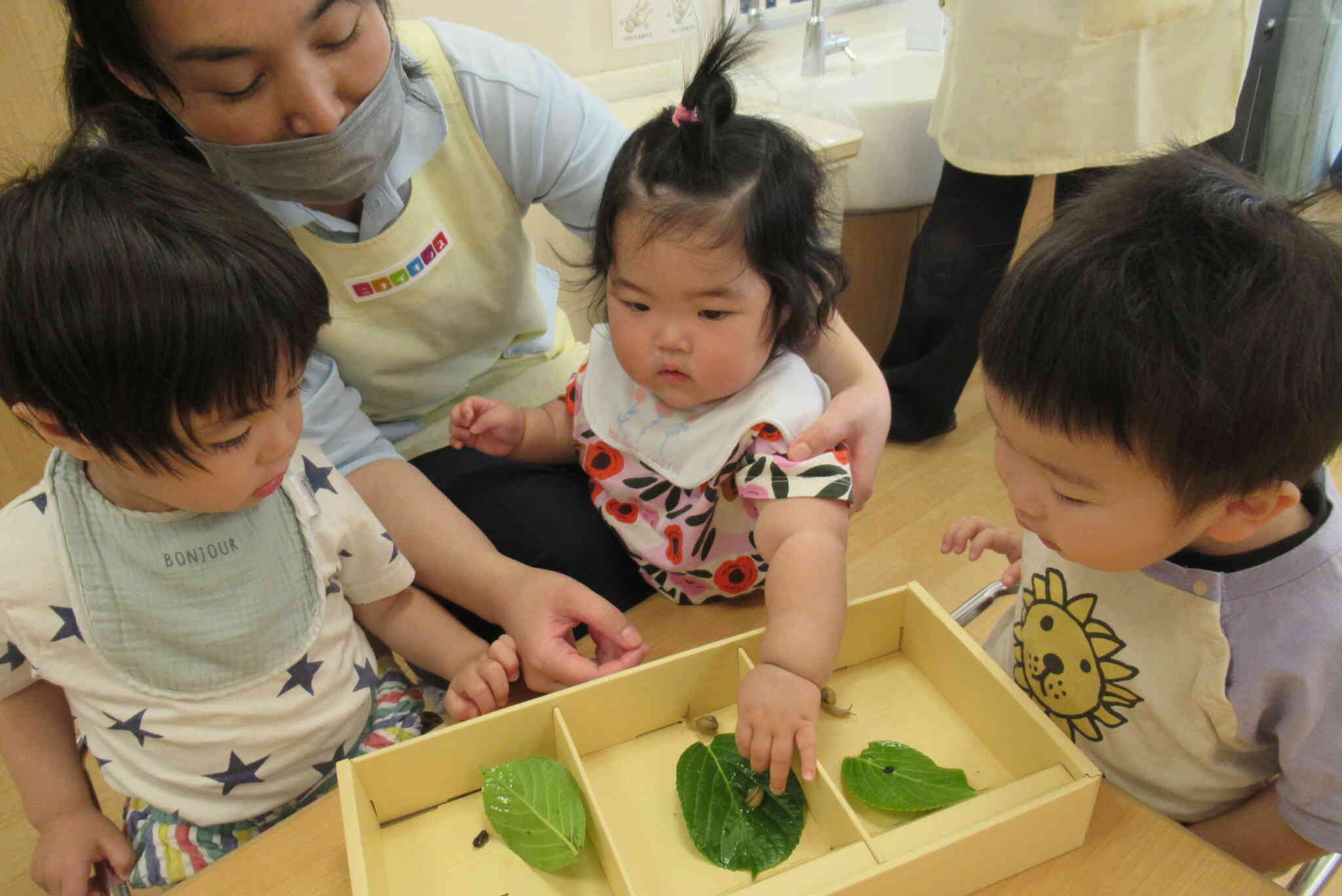 小さいお友だちもチョンチョン！