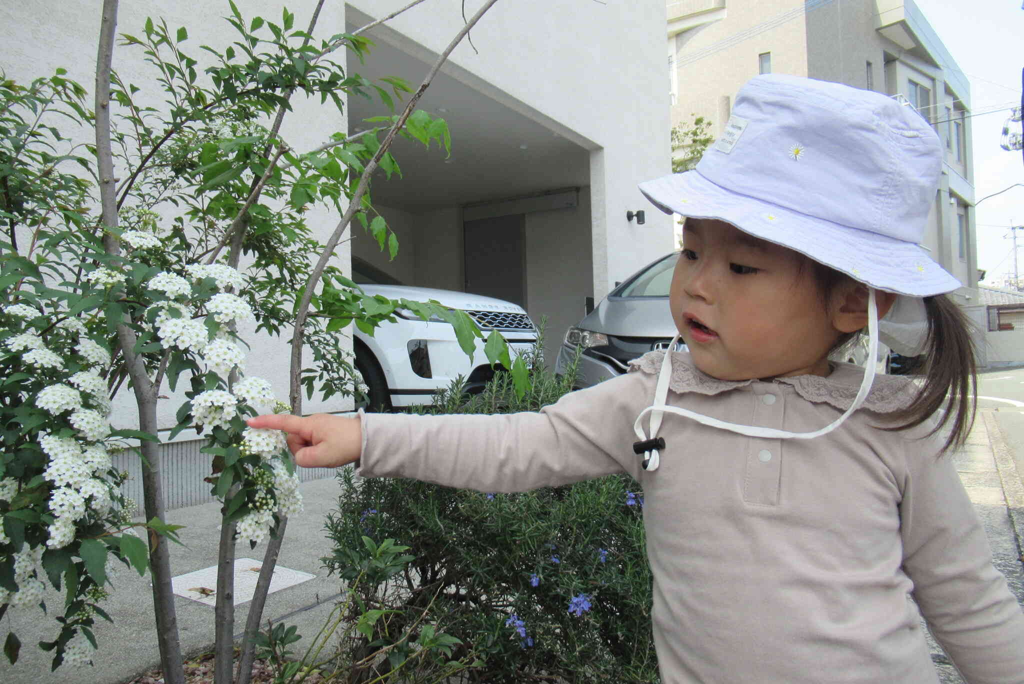 お花がきれいだったね！
