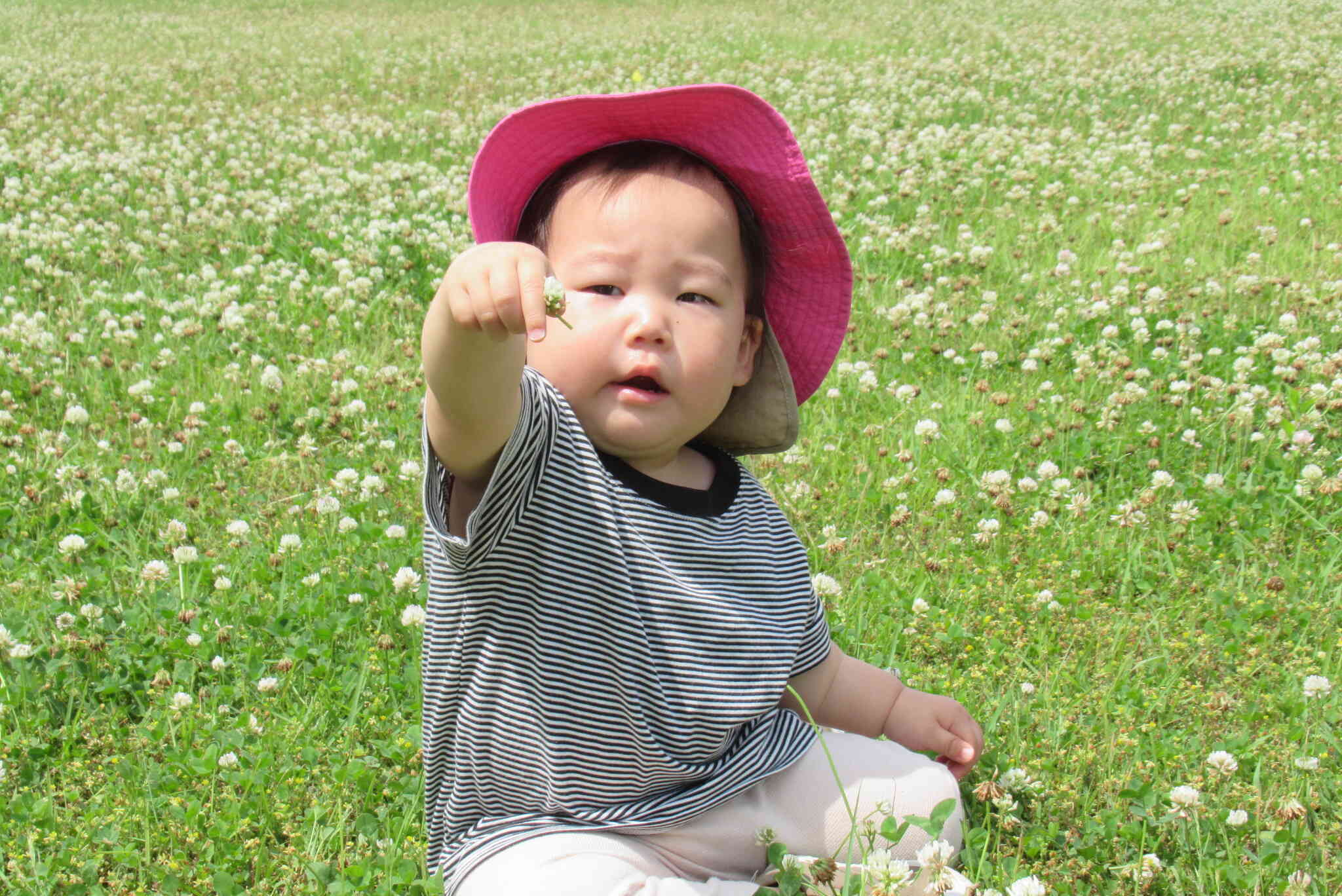 先生どうぞ！