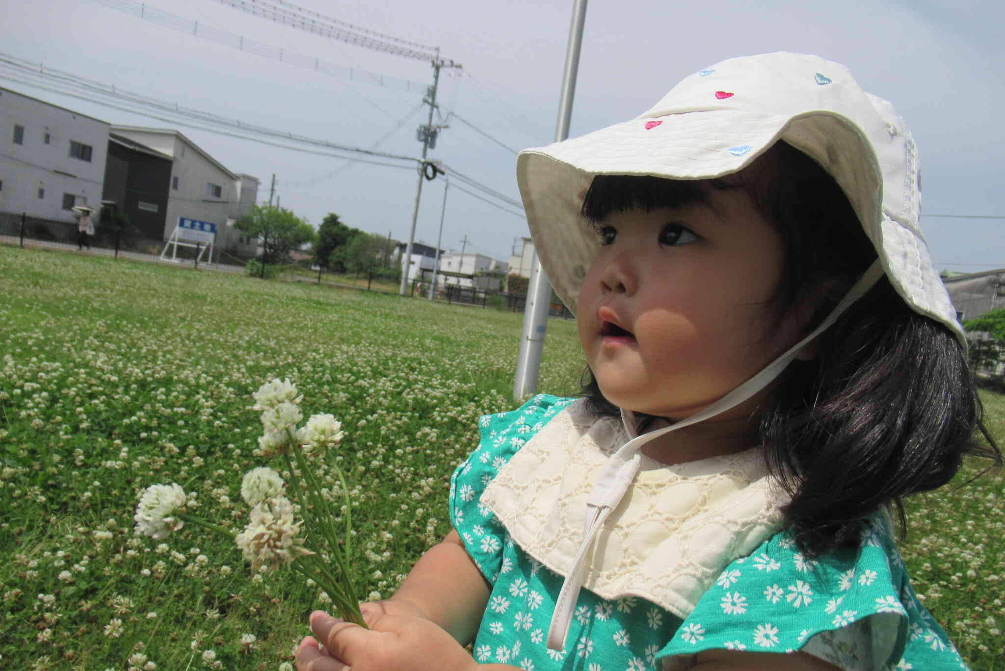 お花を摘んだよ！