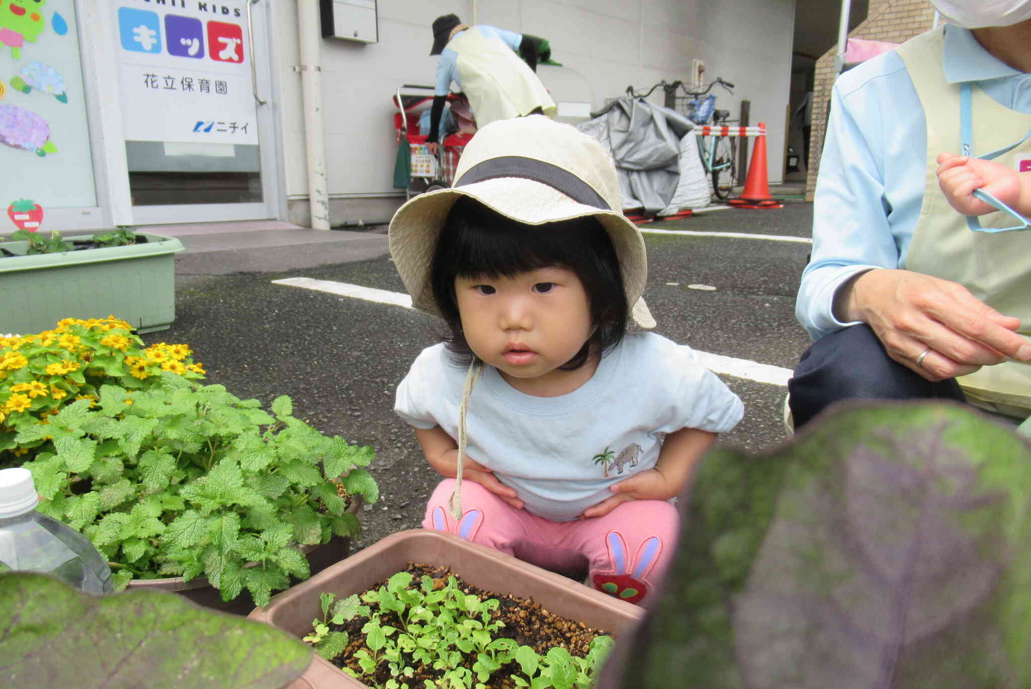 大きくなったかな？