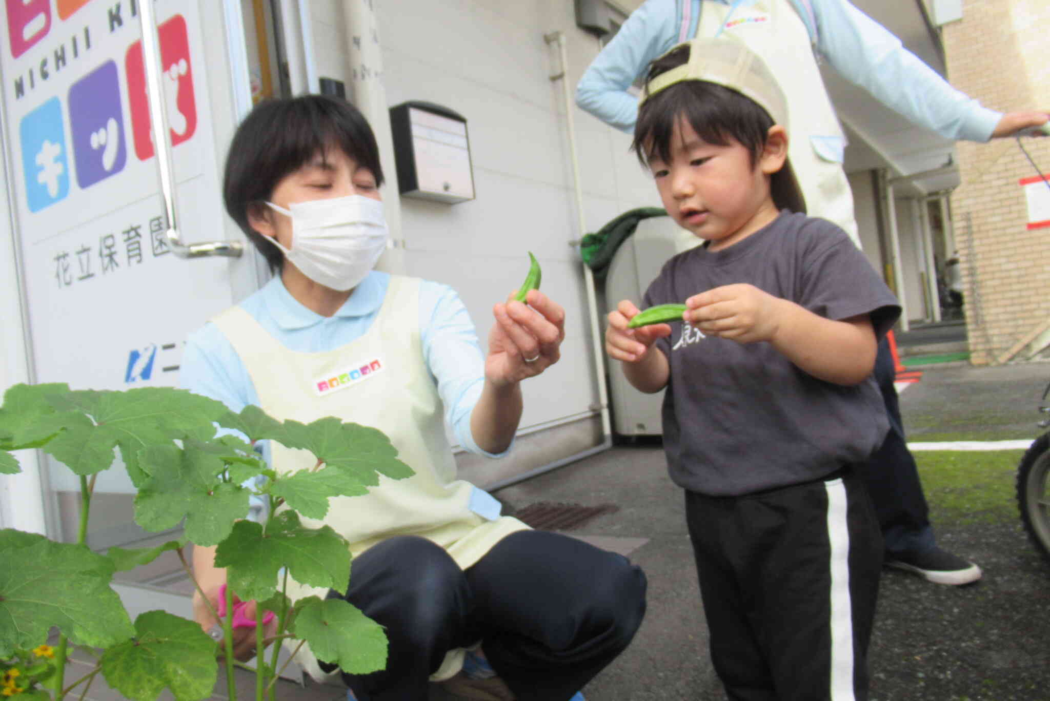 お野菜が出来たよ！