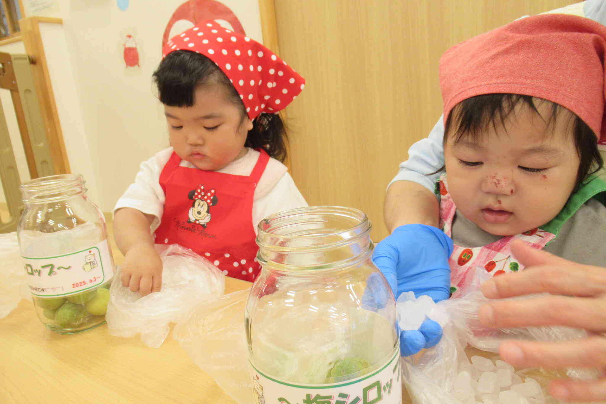 青梅の季節！