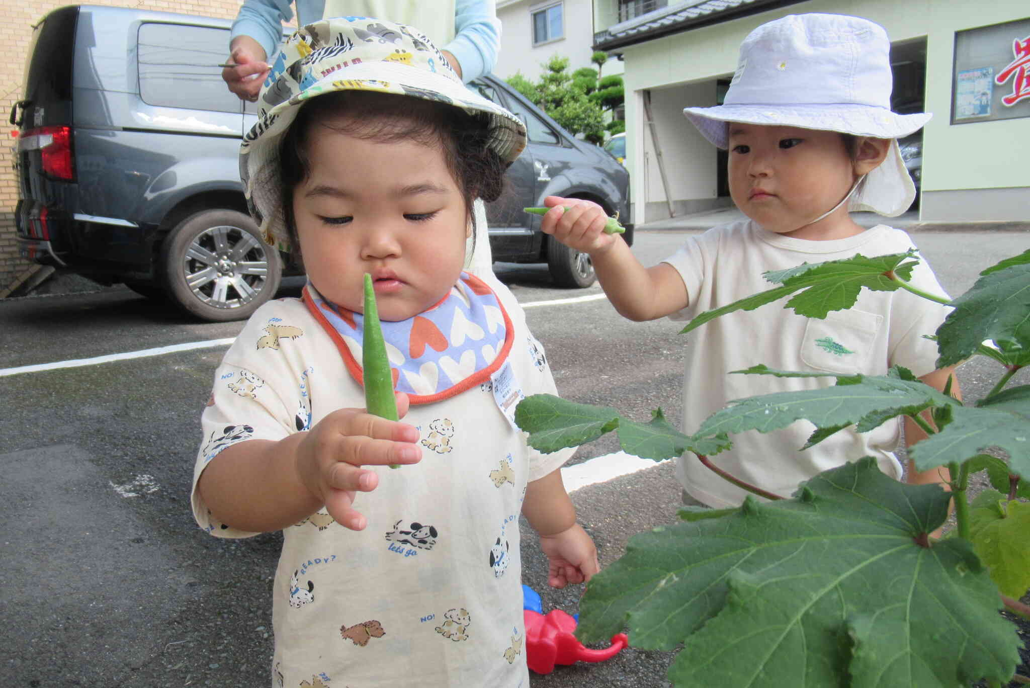 食育活動