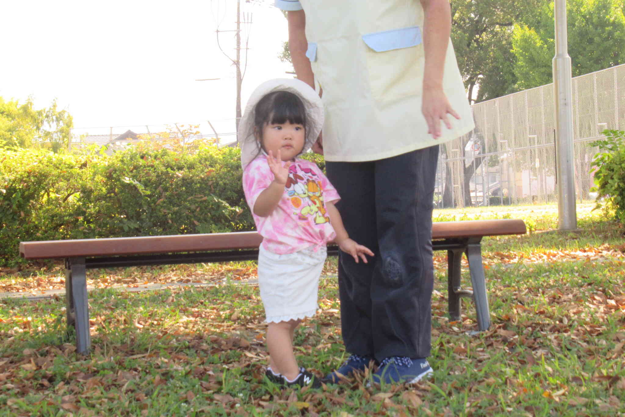 先生、一緒に虫探そう！