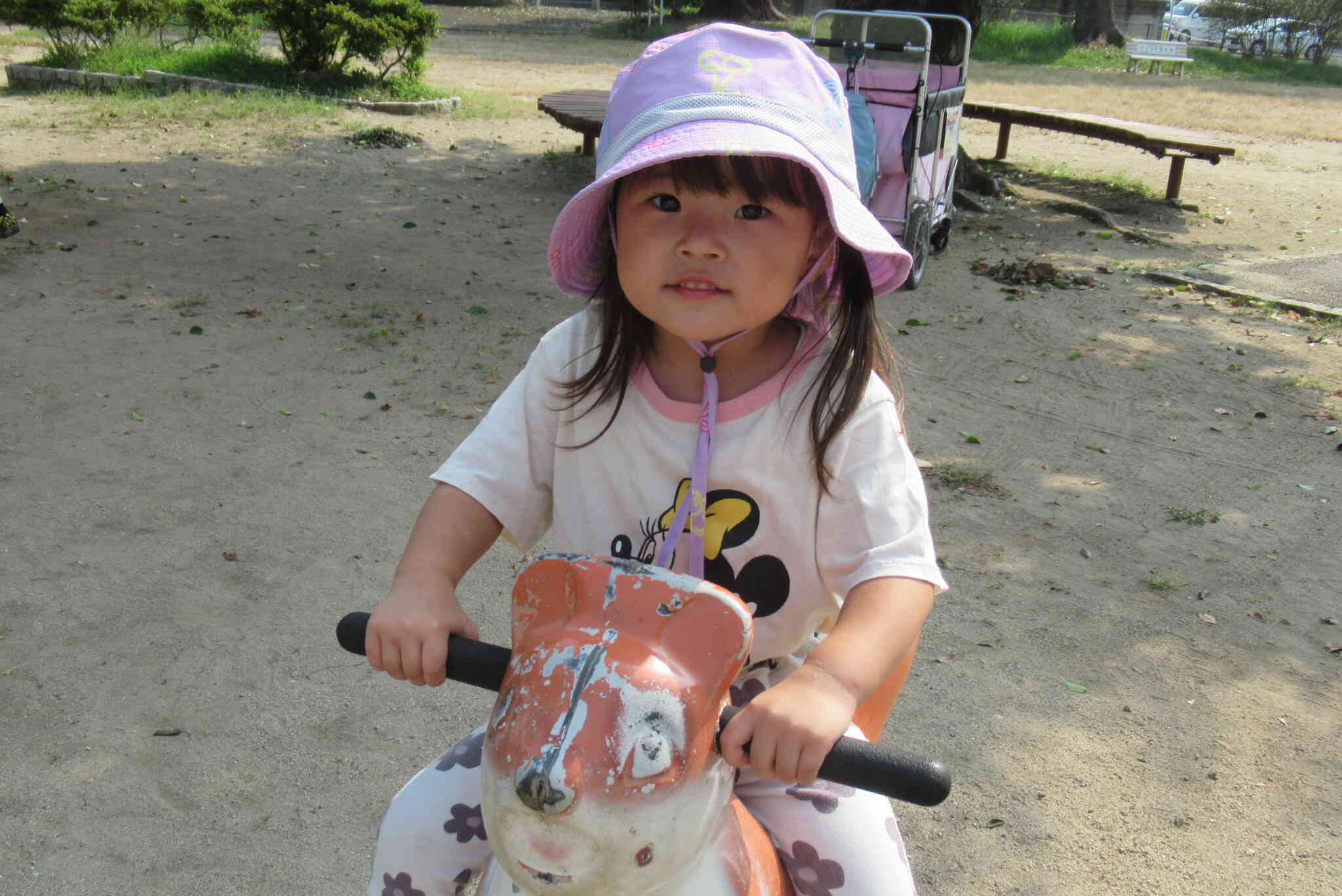 お散歩と公園へ！