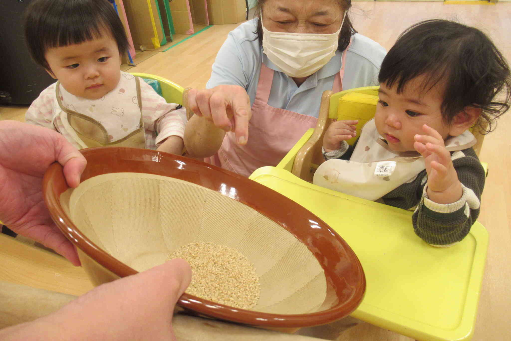 玄米って何だろう？