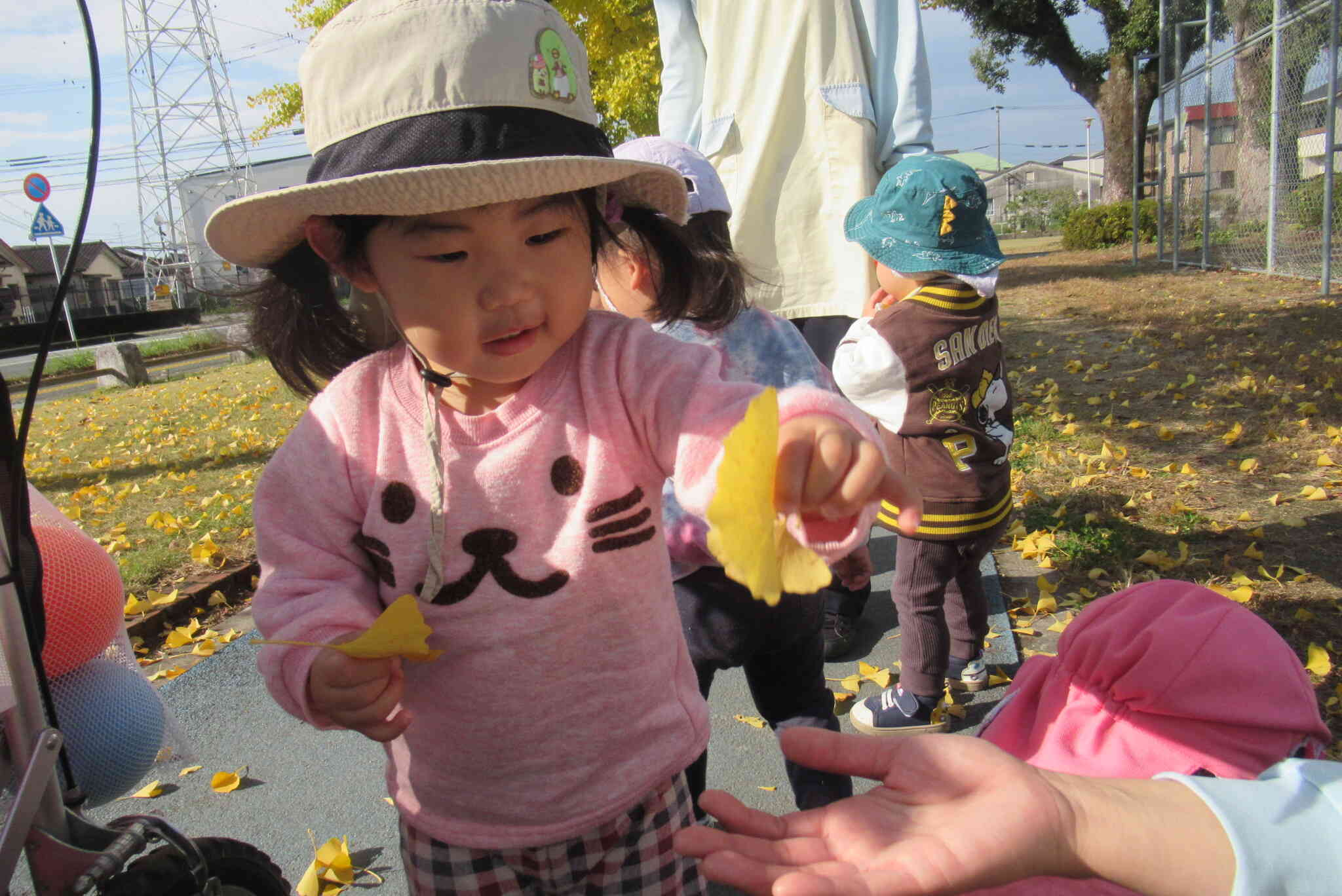 たくさん集めたよ。