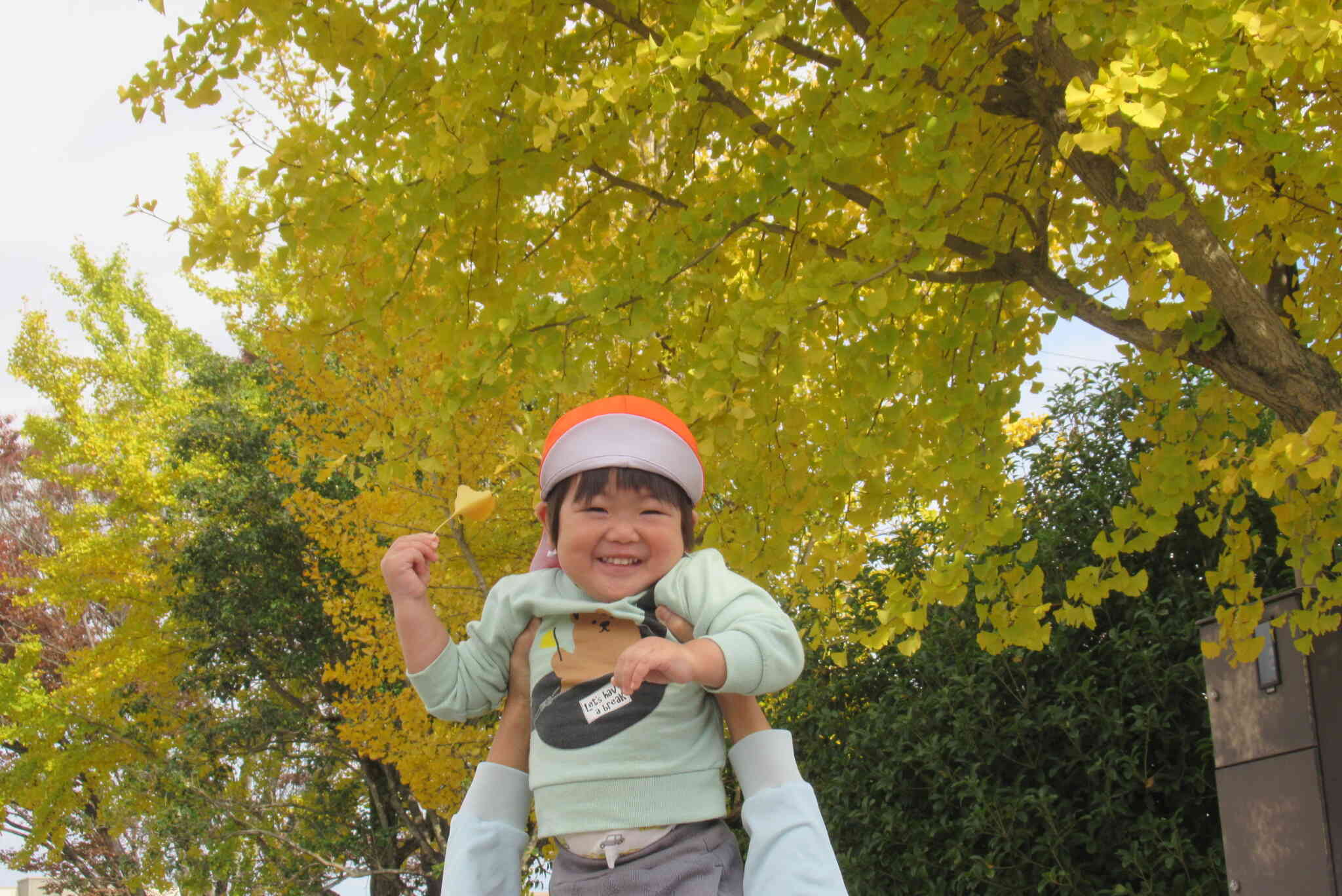 銀杏を見に行ったよ！