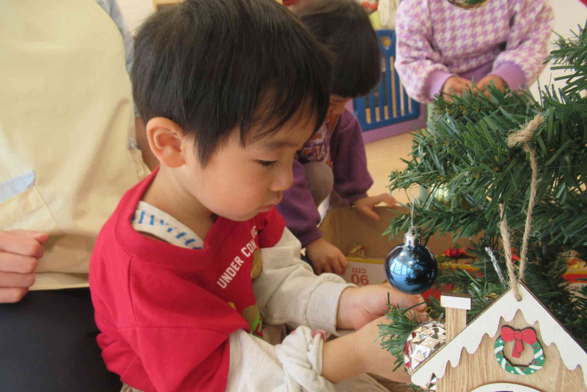 キラキラだね。