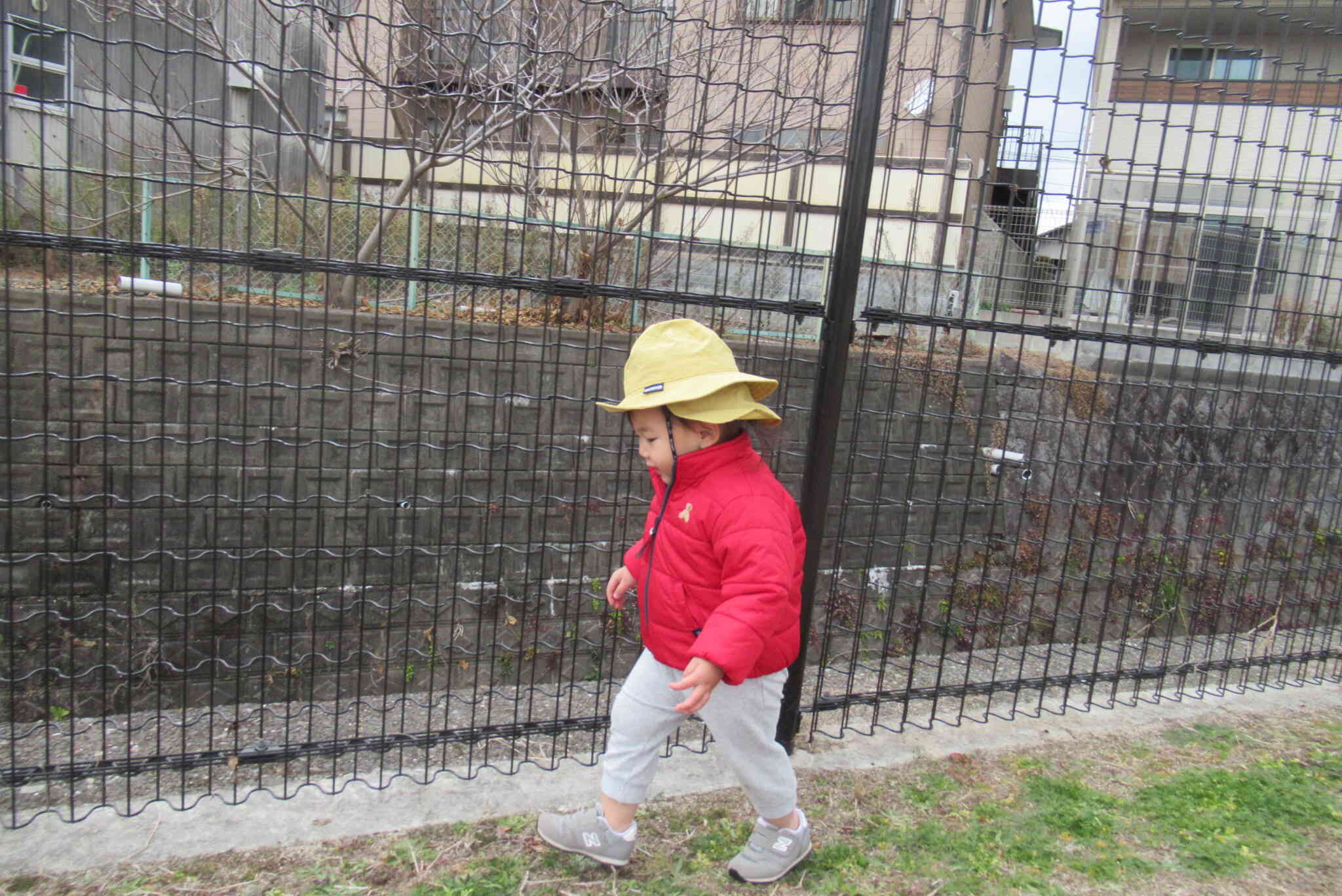 公園を探検だ！