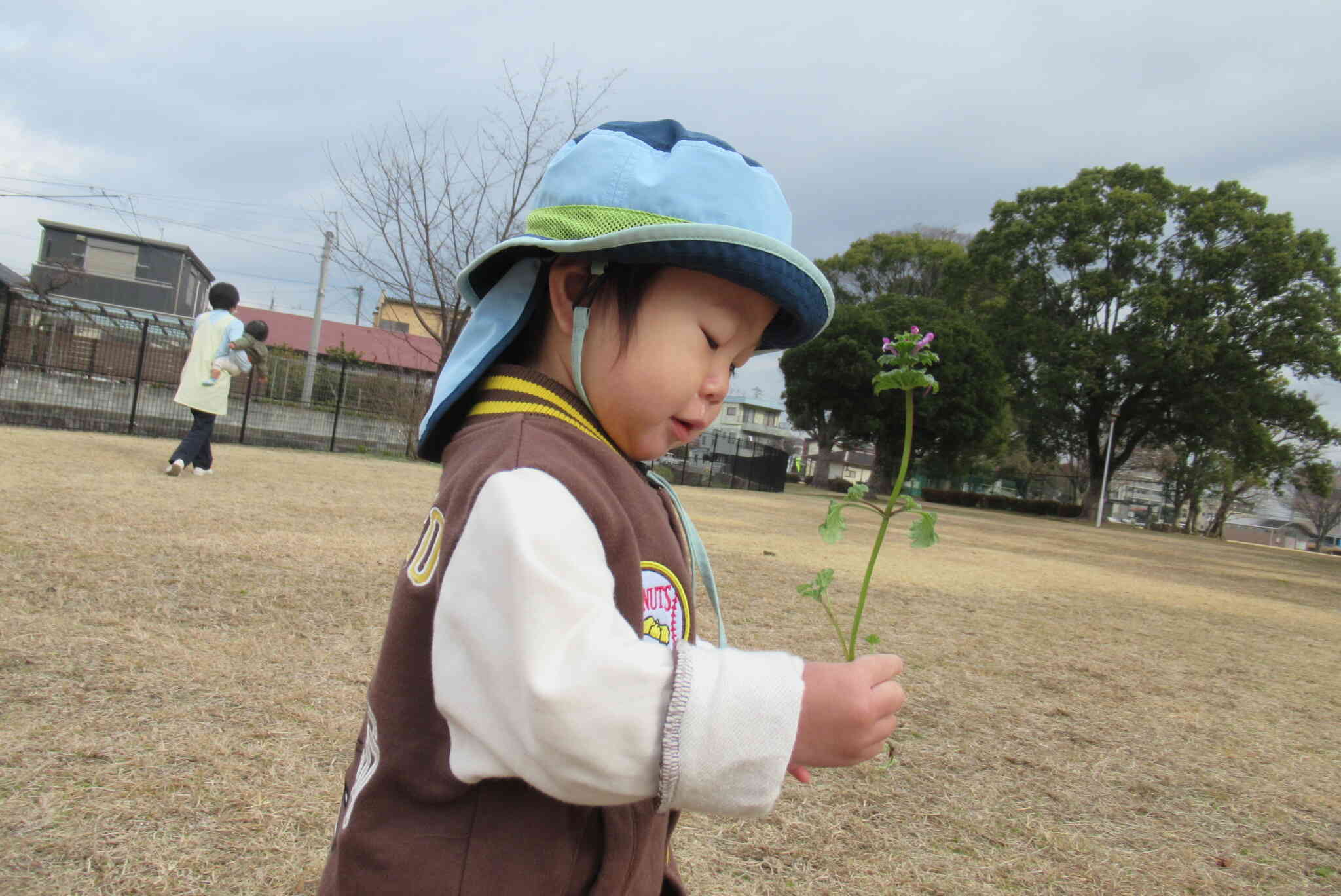 きれいなお花見つけたよ！