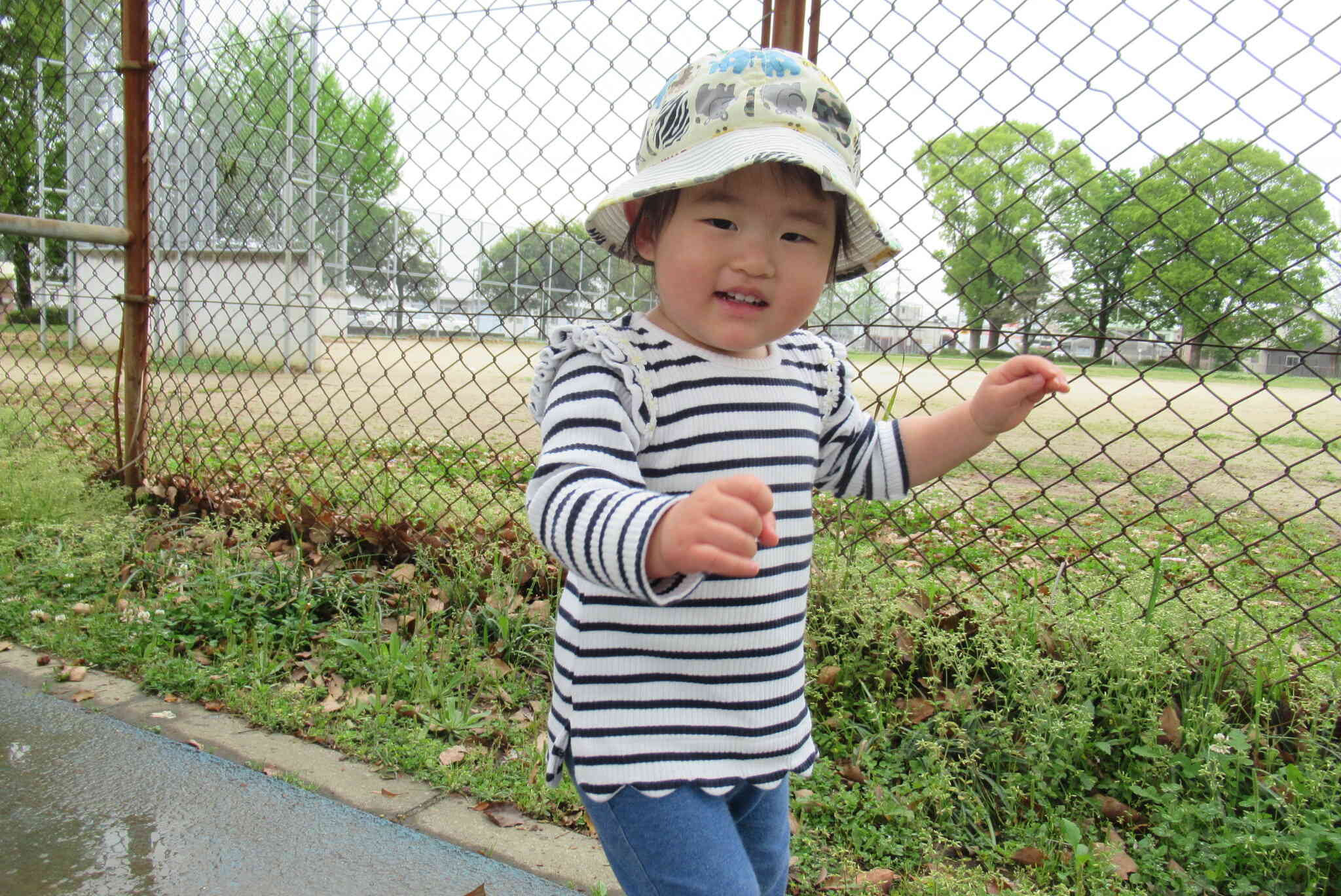 雨上がりの散歩！