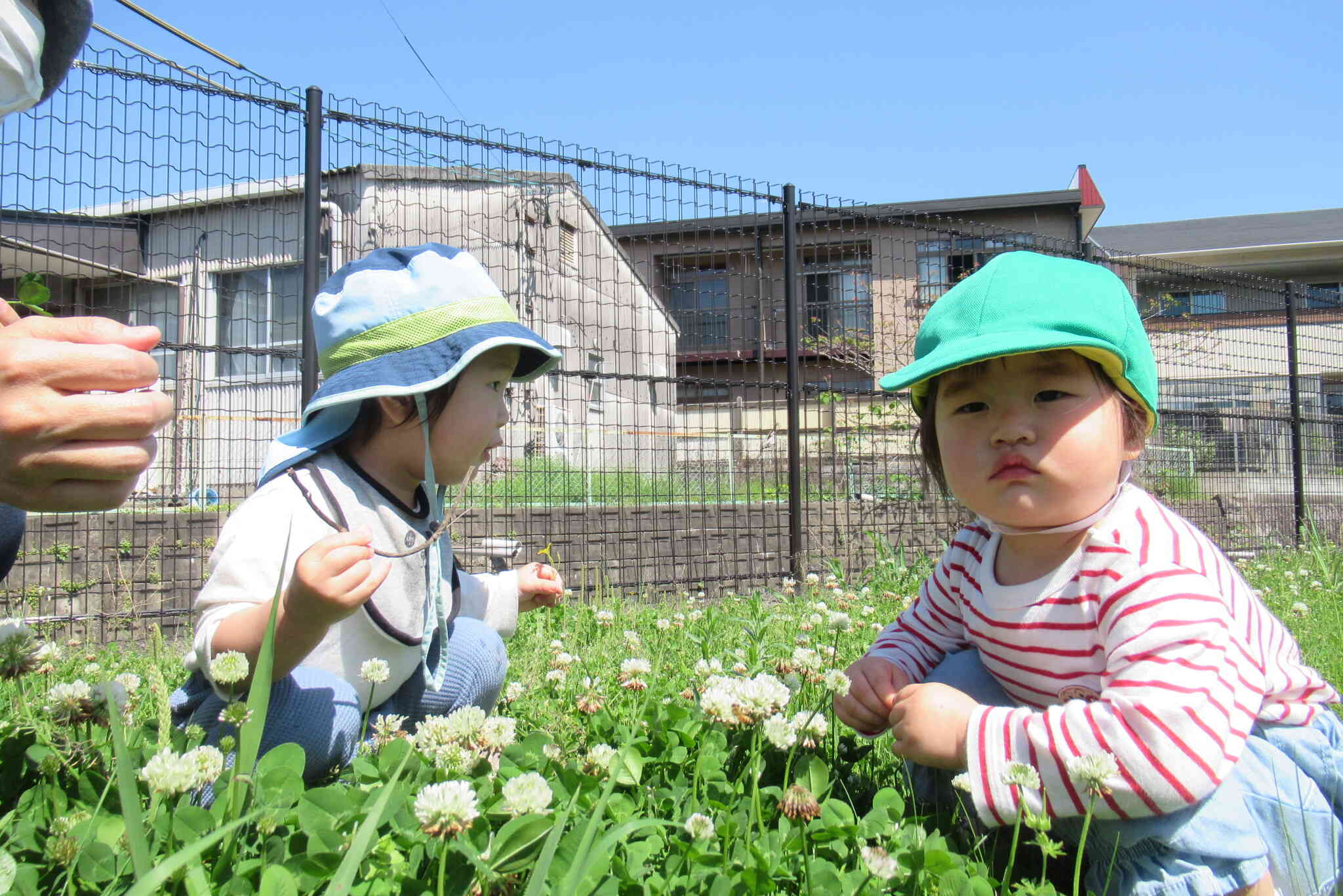 ちょうちょ見つけたよ！