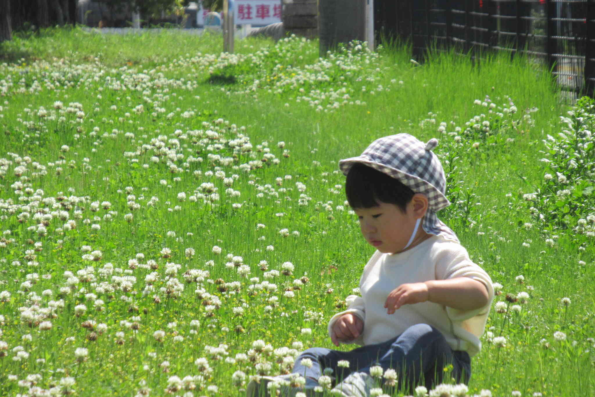 お花がきれいだね！